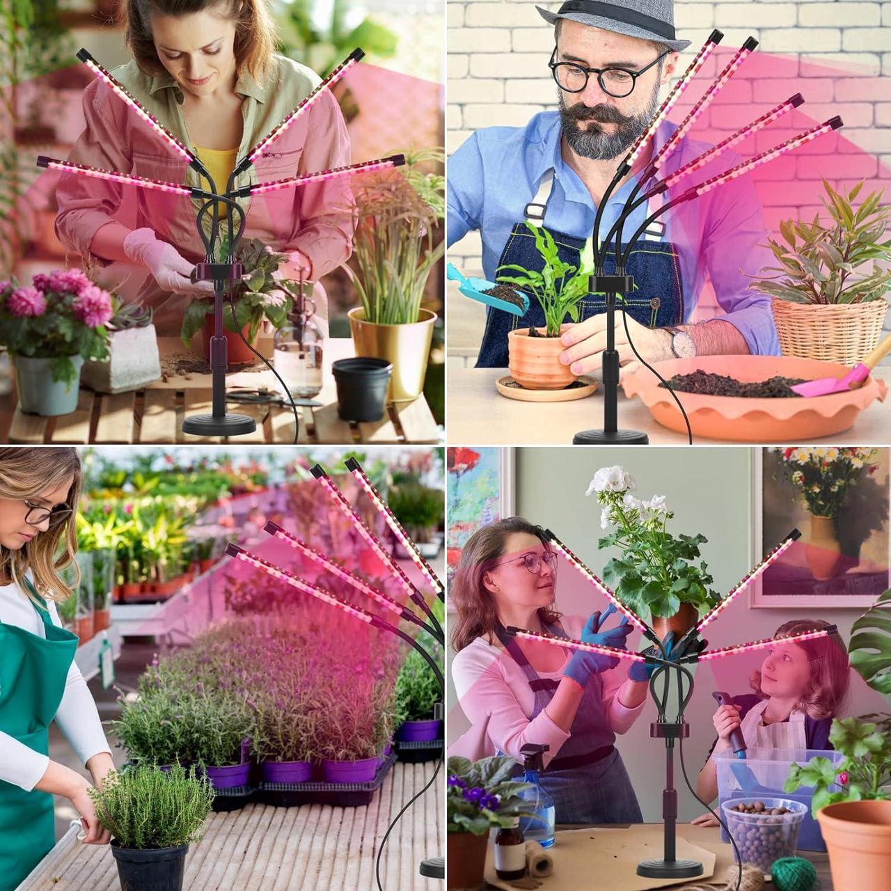 Alt view image 7 of 7 - Grow Lights for Indoor Plants, Four Head LED Grow Light with Full Spectrum & Red White Spectrum for Indoor Plant Growing Lamp, Adjustable Gooseneck, Suitable for Plant(Four-head plant light)