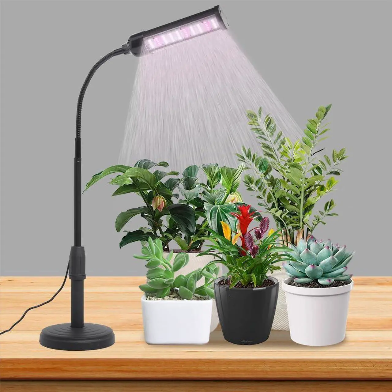 Main image of CANAGROW LED Plant Grow Lights for Indoor Plants, Full Spectrum Small Desk Plant Light 6500K White Gooseneck Growing Lamps for Seedlings Succulents House Plants, Auto On/Off Timer & 10 Dimmable Level