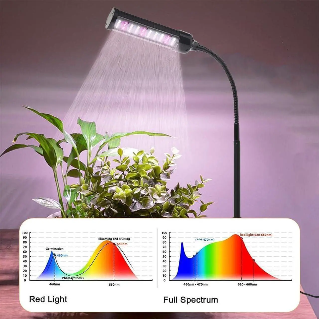 Alt view image 3 of 6 - CANAGROW LED Plant Grow Lights for Indoor Plants, Full Spectrum Small Desk Plant Light 6500K White Gooseneck Growing Lamps for Seedlings Succulents House Plants, Auto On/Off Timer & 10 Dimmable Level
