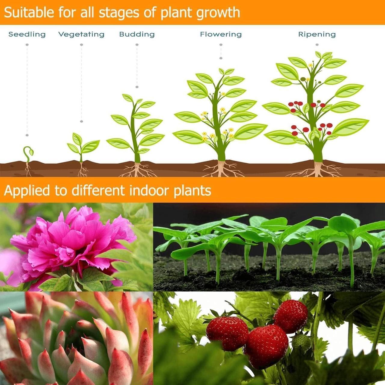 Alt view image 7 of 7 - 3-Head Full Spectrum LED Grow Light, 3 Modes, 10 Dimming Levels, Auto On/Off, 360 Gooseneck, Suitable for Indoor Plants