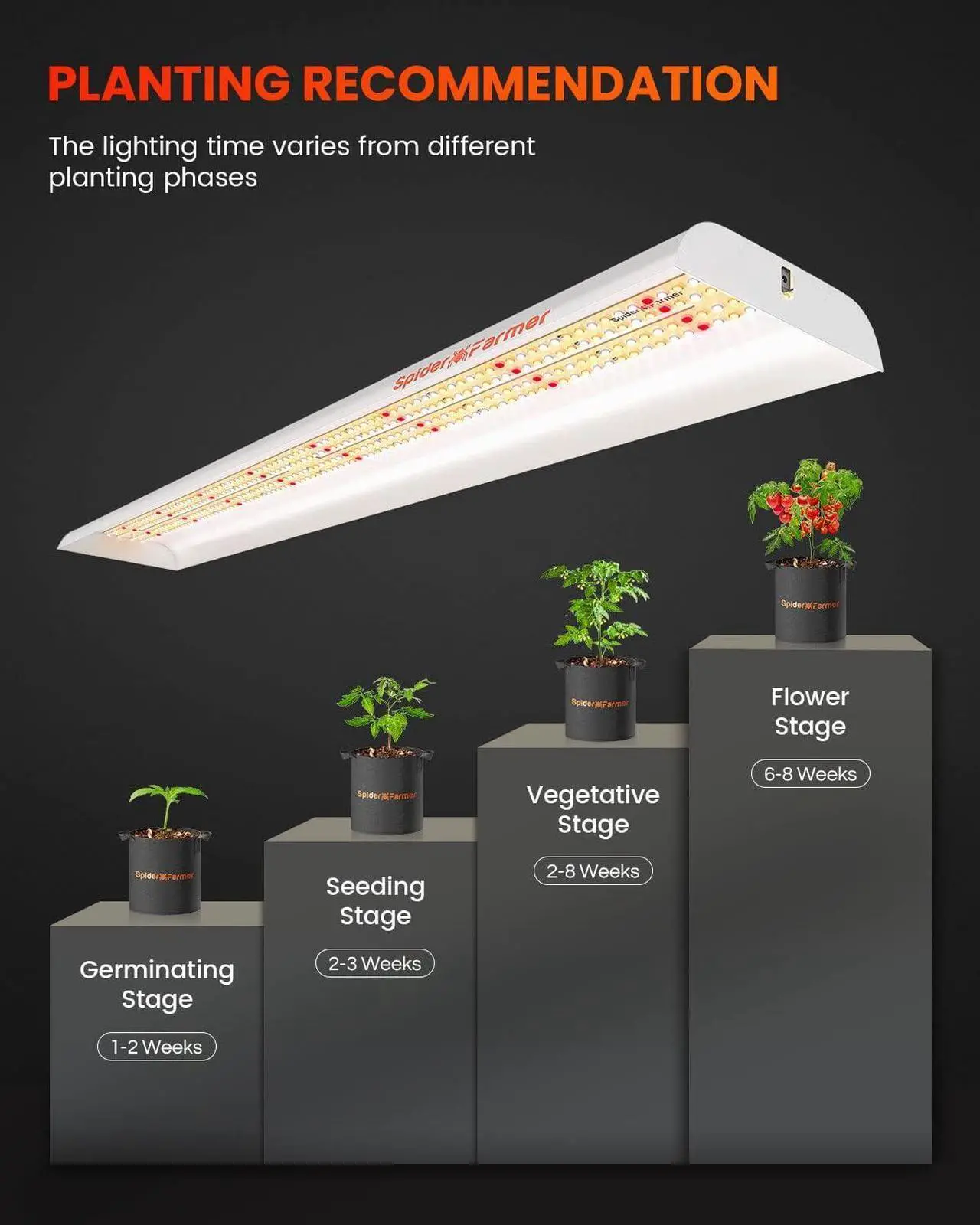 Alt view image 6 of 7 - Spider Farmer 2024 New SF600 LED Grow Lights 2x4 ft Coverage Sunlike Full Spectrum Plant Growing Lamp for Indoor Plants Seeding Veg Flower Energy Saving & High Efficiency Grow Light 384 Diodes