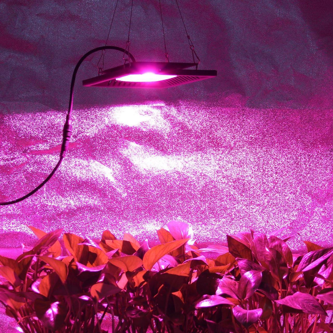 Alt view image 7 of 7 - Waterproof 100W LED Grow Light Full Spectrum, New Technology COB LED Grow Light, Natural Heat Dissipation Without Noise, Suitable for Plants All Growing Stage Indoor or Outdoor.