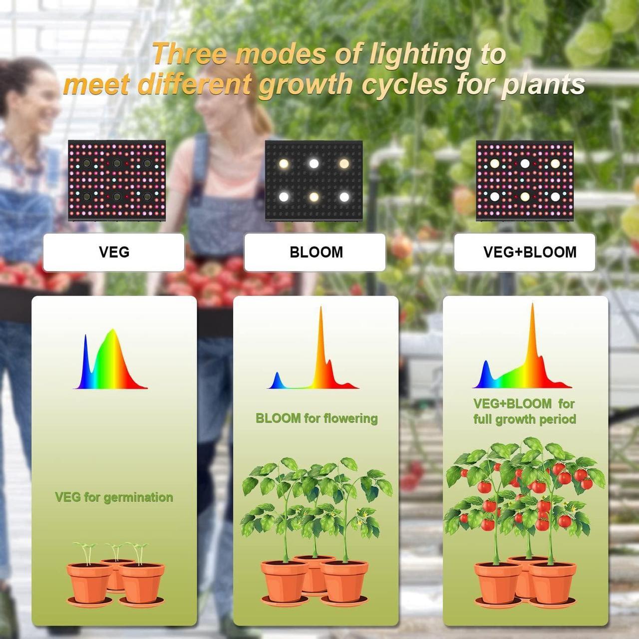 Alt view image 5 of 7 - AGLEX 655W COB LED Grow Light, Full Spectrum Plant Grow Lamp with Daisy Chain Veg and Bloom Switch for Hydroponic Greenhouse Indoor Plant Veg and Flower (C3000)