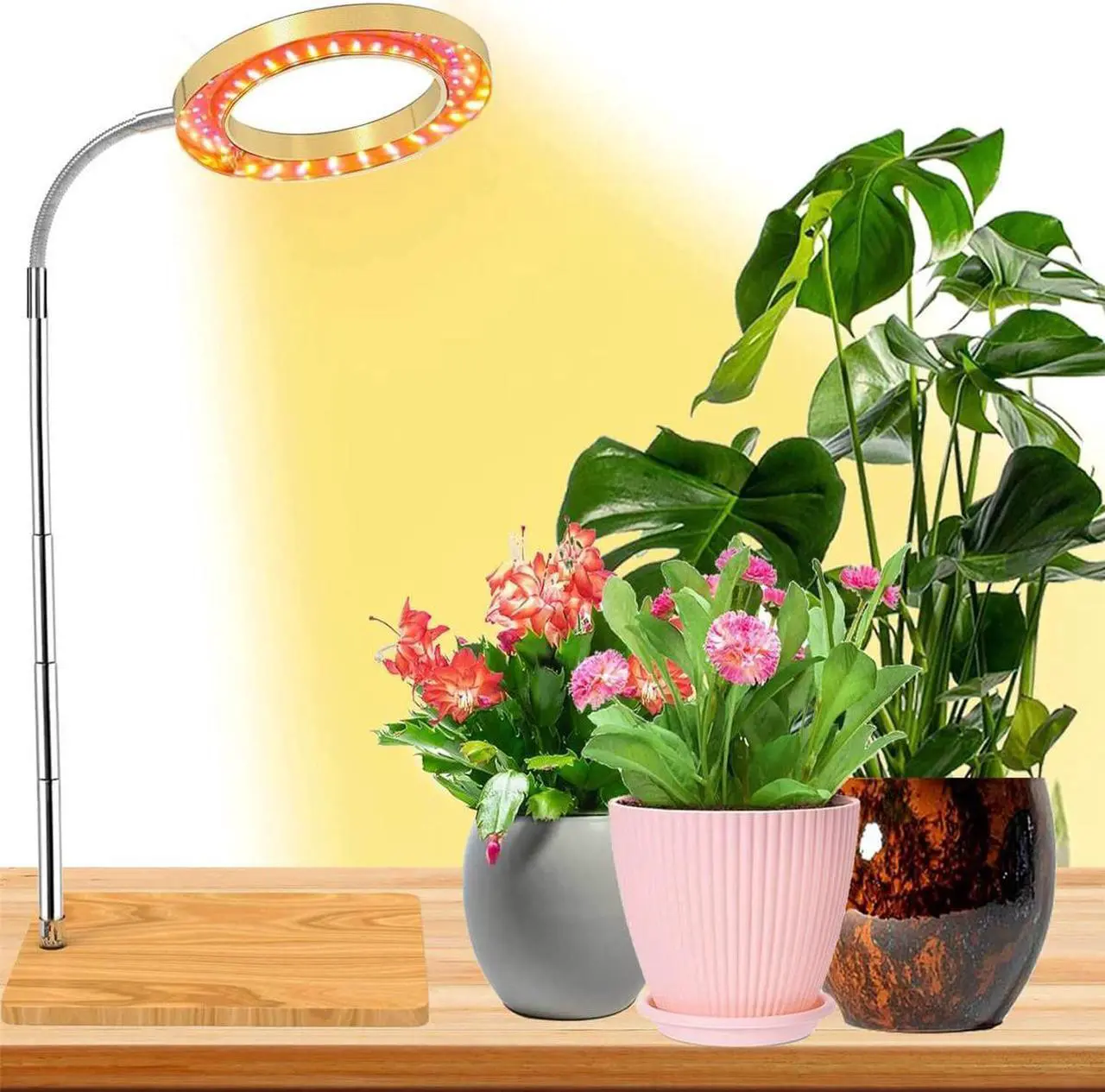 Alt view image 2 of 7 - PFCTART LED Grow Light Indoor Plants Full Spectrum with Base for Plant Shelf, Plant Pots