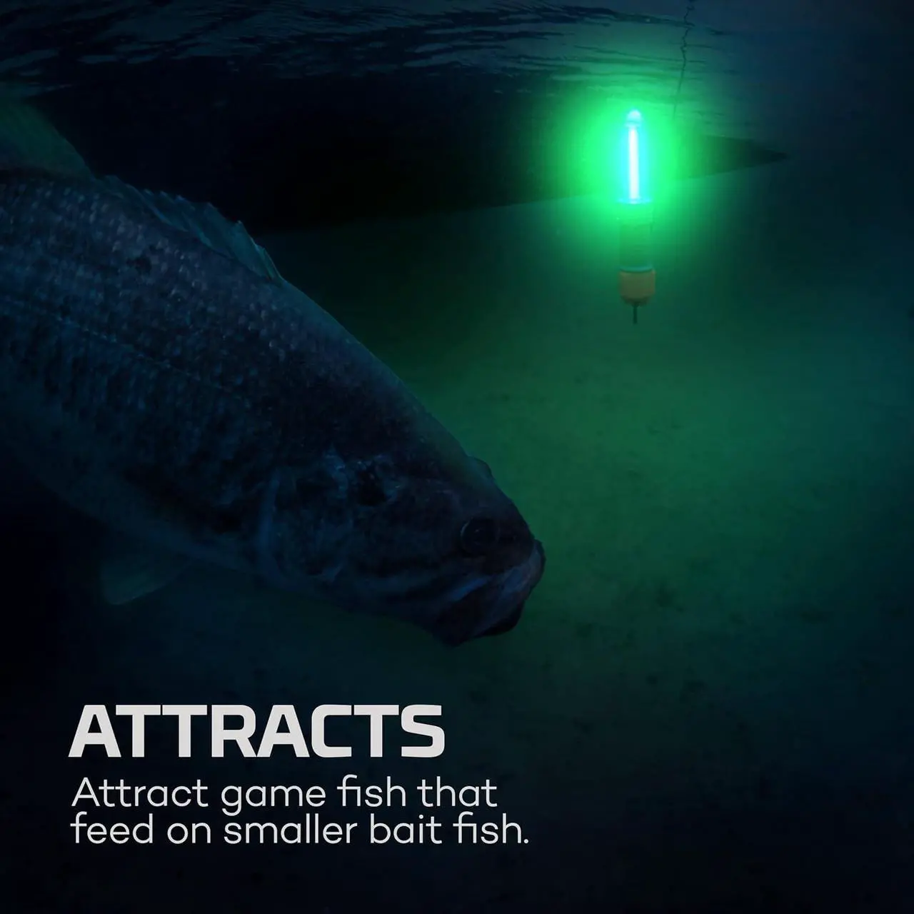 Alt view image 5 of 5 - NEBO Submerser LED Underwater Fishing Light & Dock Light; IPX8 Waterproof; Night Fishing Light for Crappie