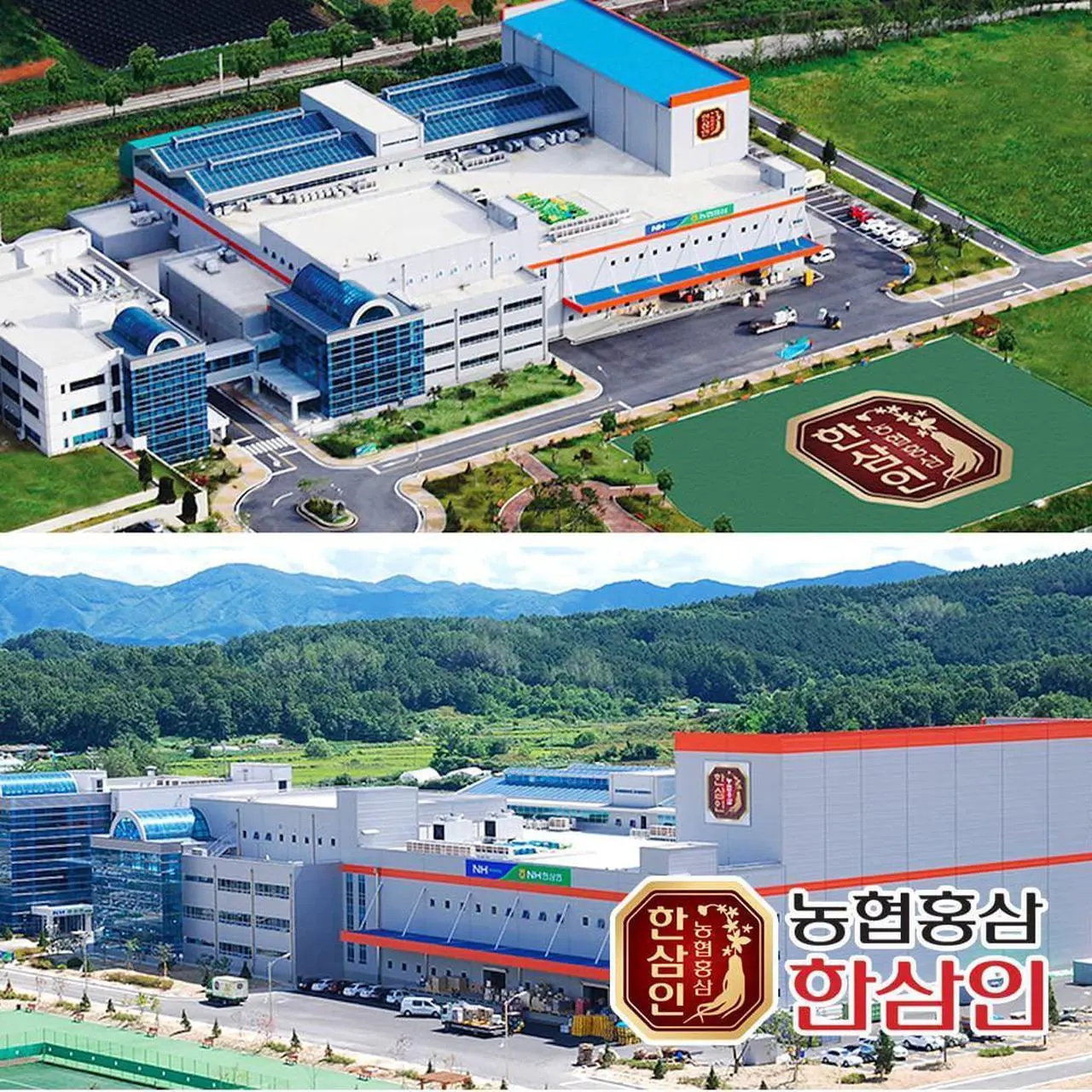 Alt view image 5 of 5 - HANSAMIN Korean Red Ginseng Extract Prime, 6 Years Panax Ginseng Root, Hongsam, Product of Korea, (240 Gram)