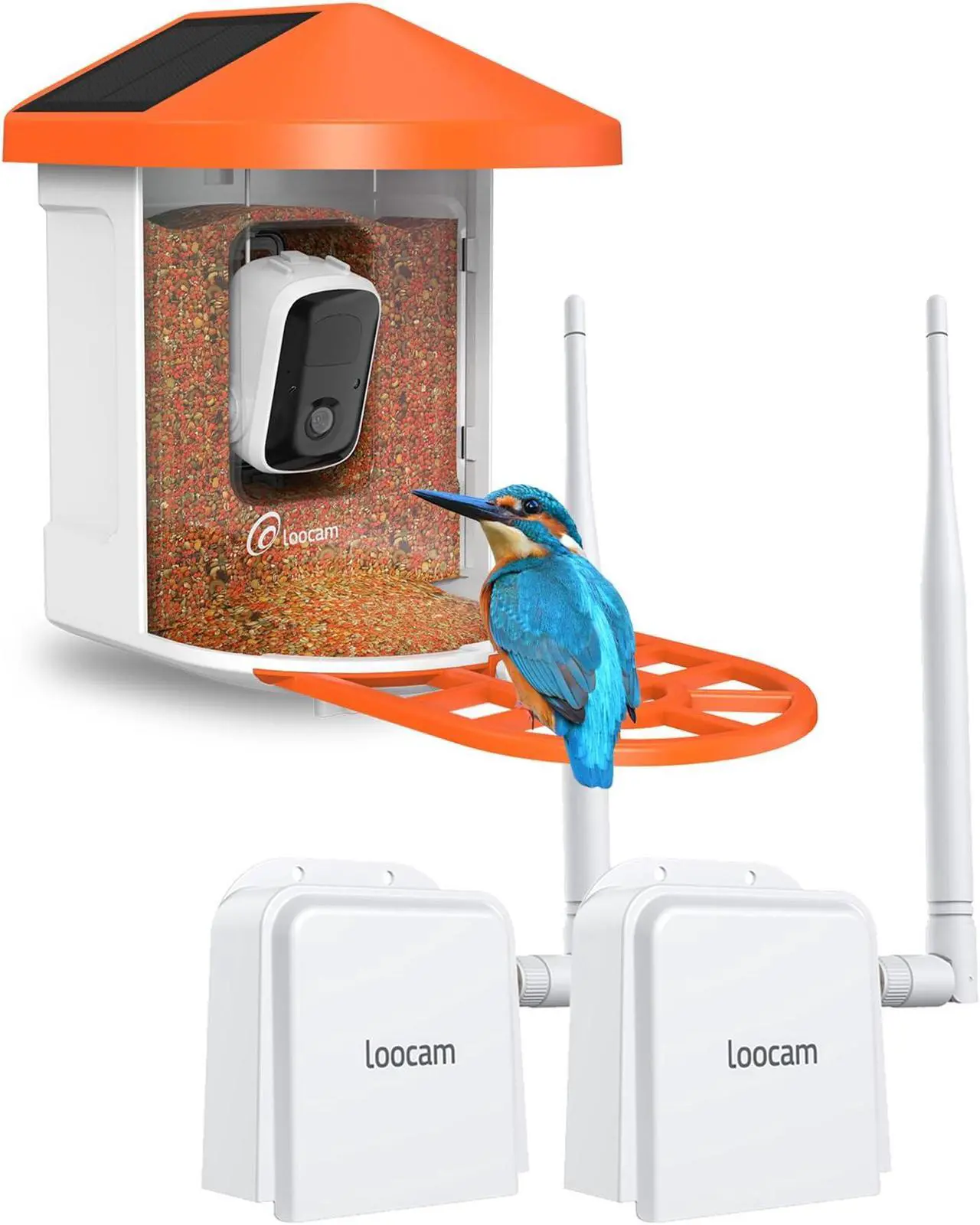 Main image of 900MHz Outdoor Wireless Bridge Point to Point Plus Smart AI Solar Powered Bird Feeder with Camera