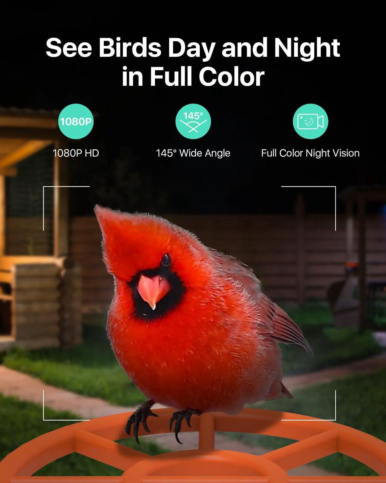 Alt view image 3 of 5 - 900MHz Outdoor Wireless Bridge Point to Point Plus Smart AI Solar Powered Bird Feeder with Camera