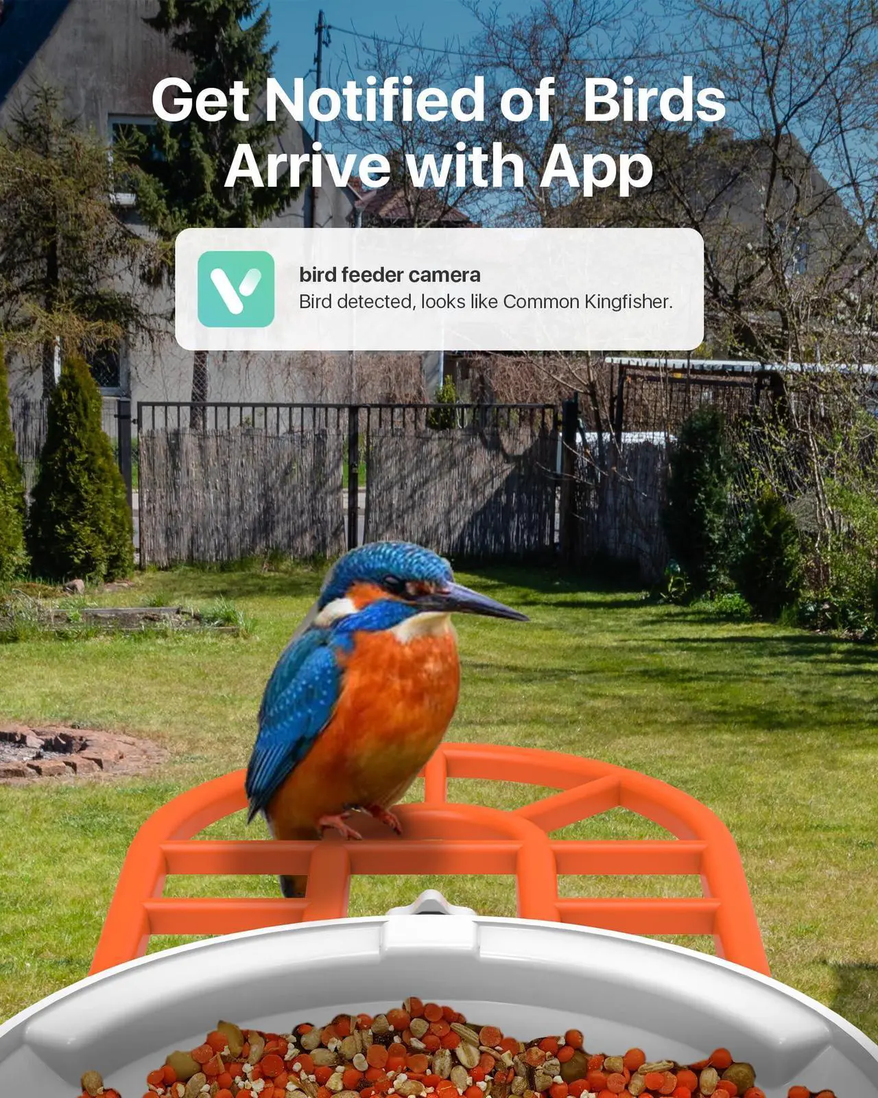 Alt view image 4 of 5 - 900MHz Outdoor Wireless Bridge Point to Point Plus Smart AI Solar Powered Bird Feeder with Camera