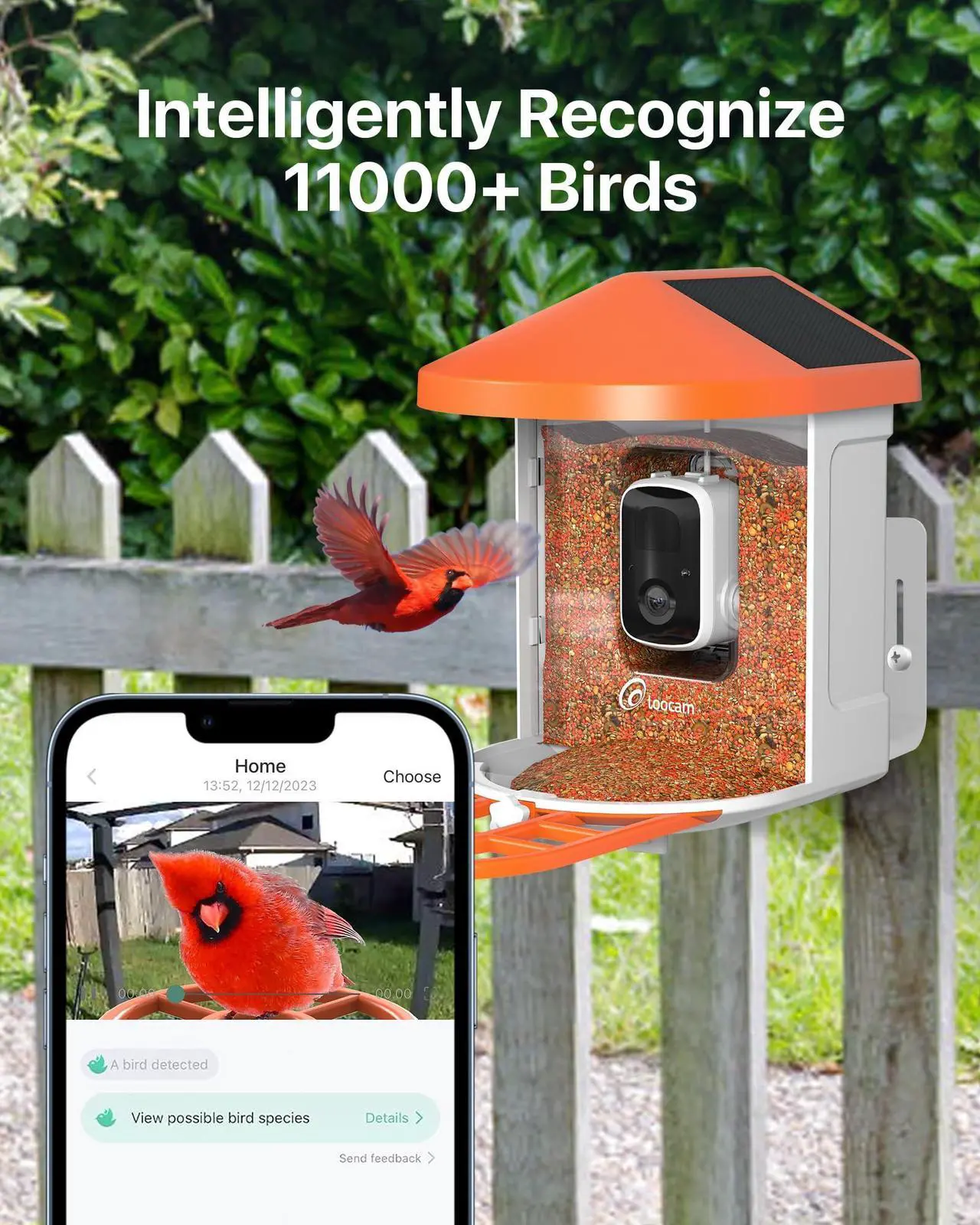 Alt view image 2 of 5 - 900MHz Outdoor Wireless Bridge Point to Point Plus Smart AI Solar Powered Bird Feeder with Camera