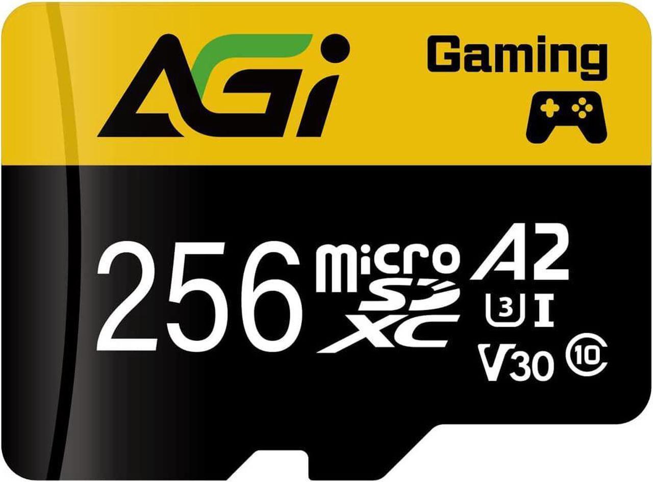 Main image of AGI 256GB TF138 MicroSDXC Memory Card C10 U3 V30 A2 Micro SD (R/W Speed up to 98/70 MBs) SD Card Adapter is accompanied for Using with DSLRs, camcorders and Other SD-Compatible Devices