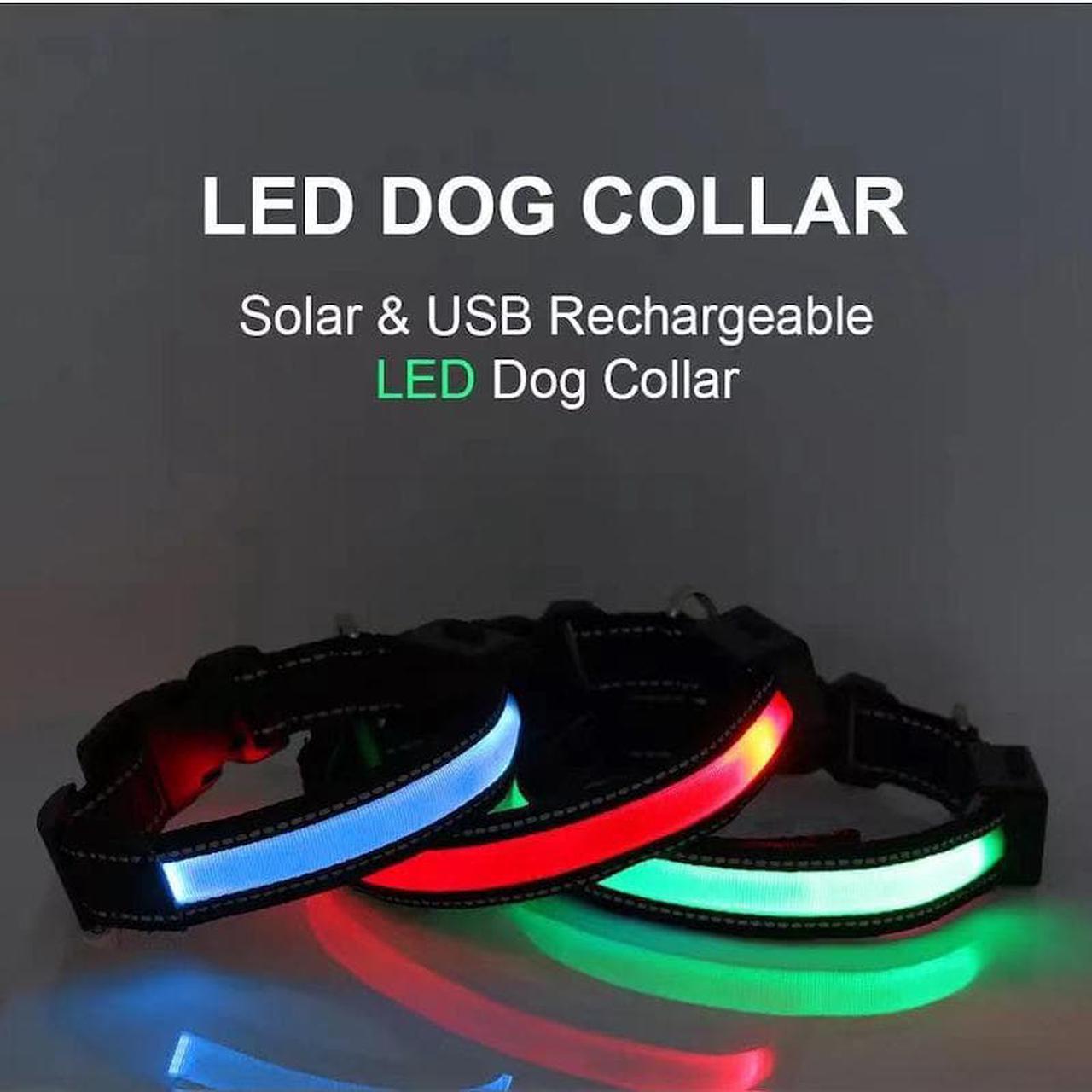 Solar & USB Rechargeable LED Lighting Dog Collar for Outdoor Safety Medium Green