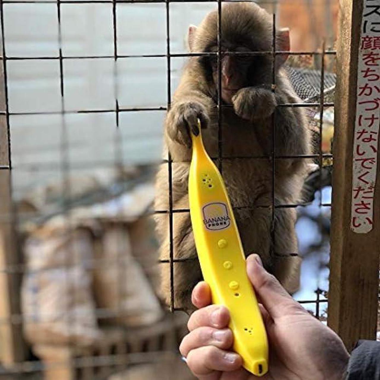 Alt view image 3 of 4 - Banana Phone Bluetooth Handset for iPhone and Android Mobile Devices (Single Banana)