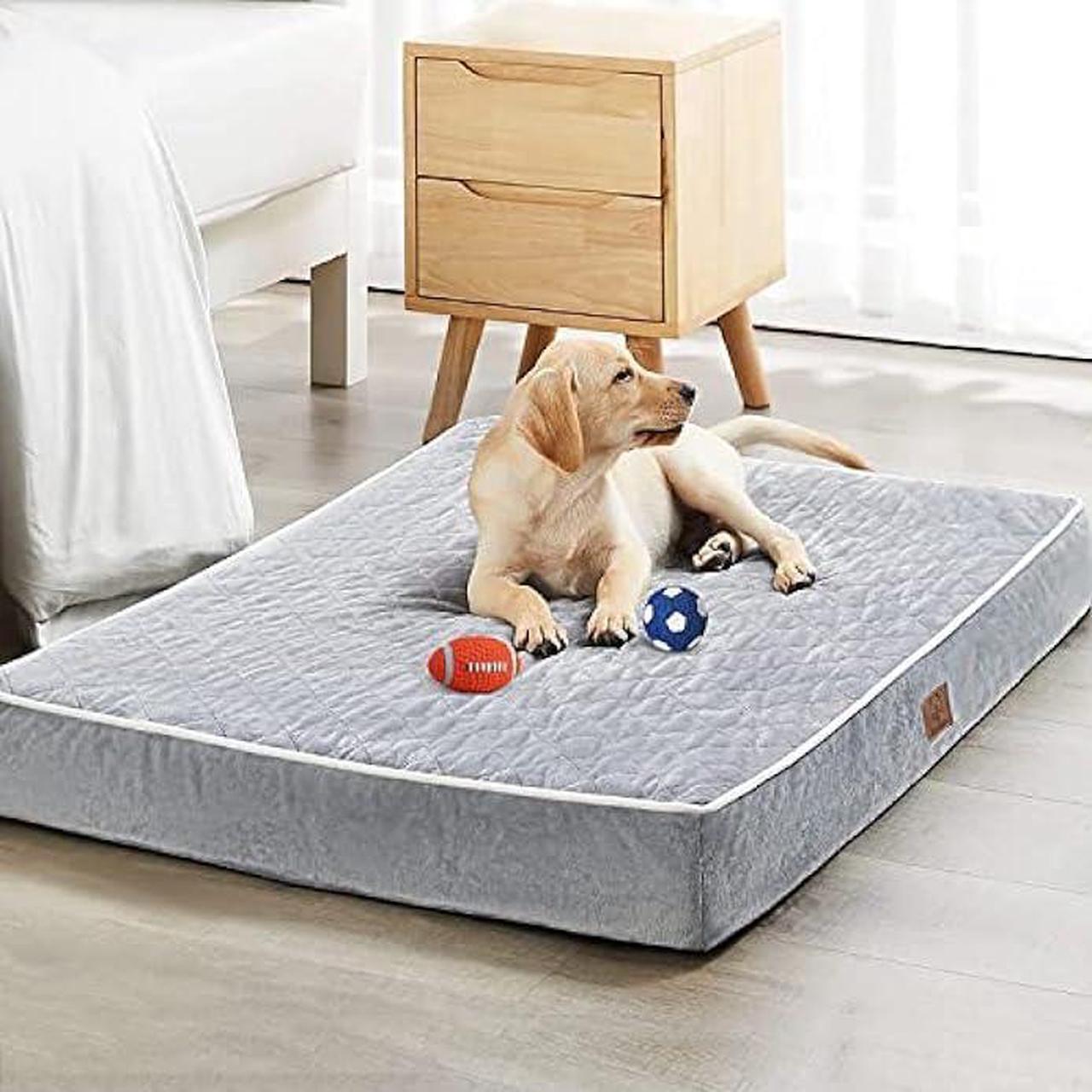 Main image of WNPETHOME Orthopedic Dog Beds for Large Dogs, Extra Large Waterproof Dog Bed with Removable Washable Cover & Anti-Slip Bottom, Egg Crate Foam Pet Bed Mat, Multi-Needle Quilting XXXL Dog Bed