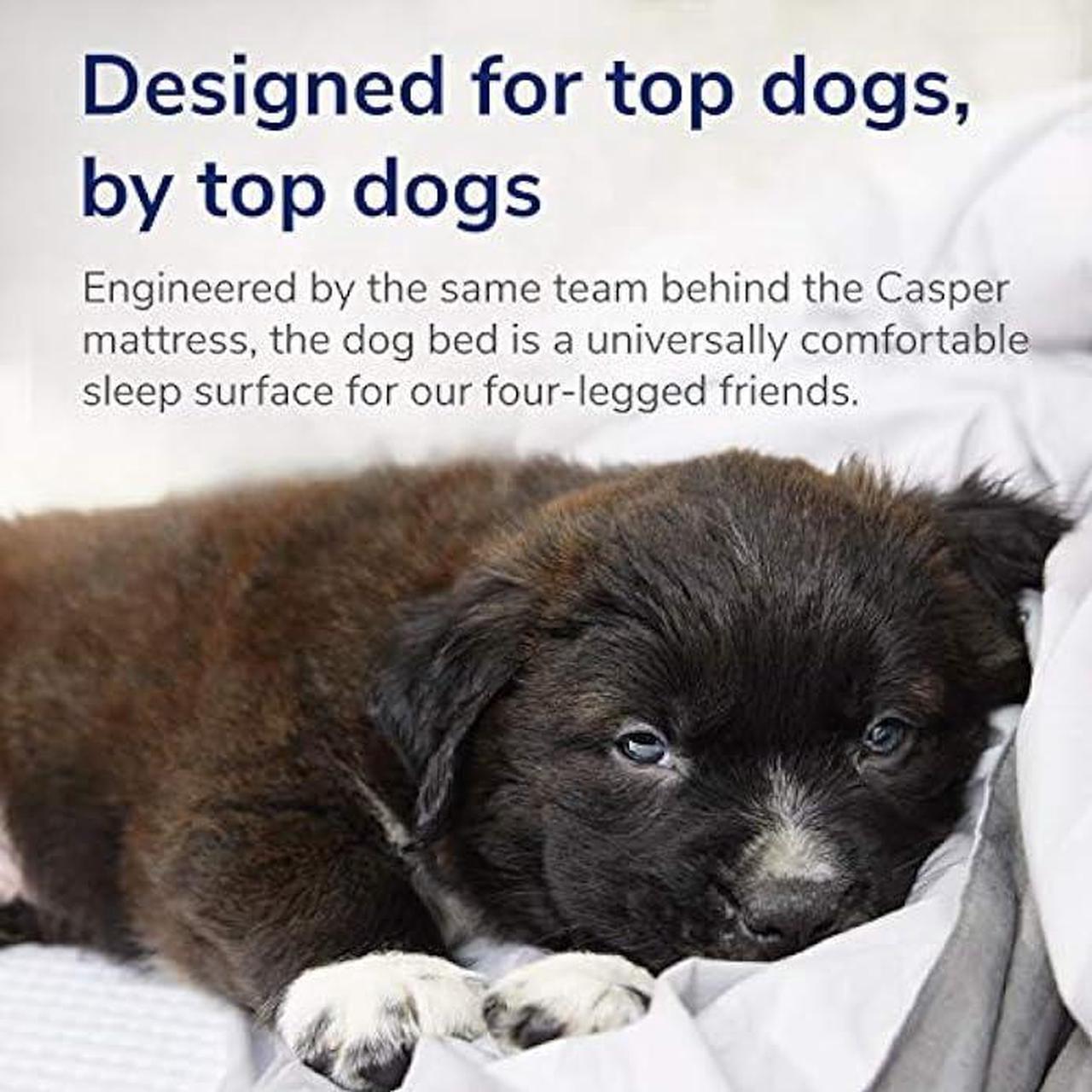 Alt view image 5 of 5 - Casper Dog Bed, Plush Memory Foam, Large, Gray