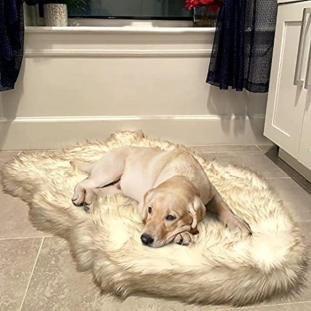 Main image of Luxury Faux Fur Orthopedic Dog Bed, Memory Foam Dog Bed for Small, Medium, Large and XL Pets, Fluffy Pup Rug with Waterproof and Washable Soft Cover, Bone White (Medium)