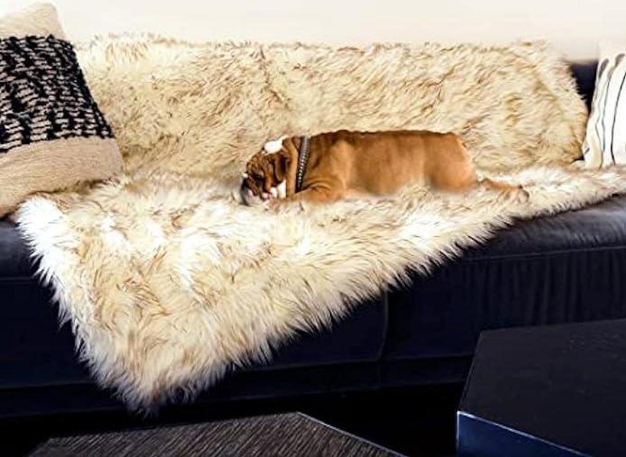 Main image of Waterproof Dog Blanket, Plush Throw for Sleeping, Whelping, and Comfort, Pet Fur, Bed, Car, Couch, and Furniture Protection with Soft, Stain Resistant Surface, Machine Washable (60 x 50, White)