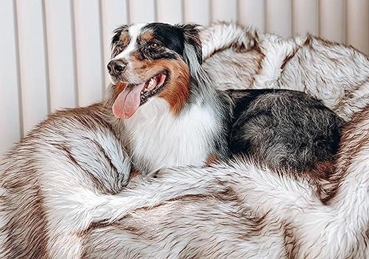 Alt view image 4 of 6 - Waterproof Dog Blanket, Plush Throw for Sleeping, Whelping, and Comfort, Pet Fur, Bed, Car, Couch, and Furniture Protection with Soft, Stain Resistant Surface, Machine Washable (60 x 50, White)