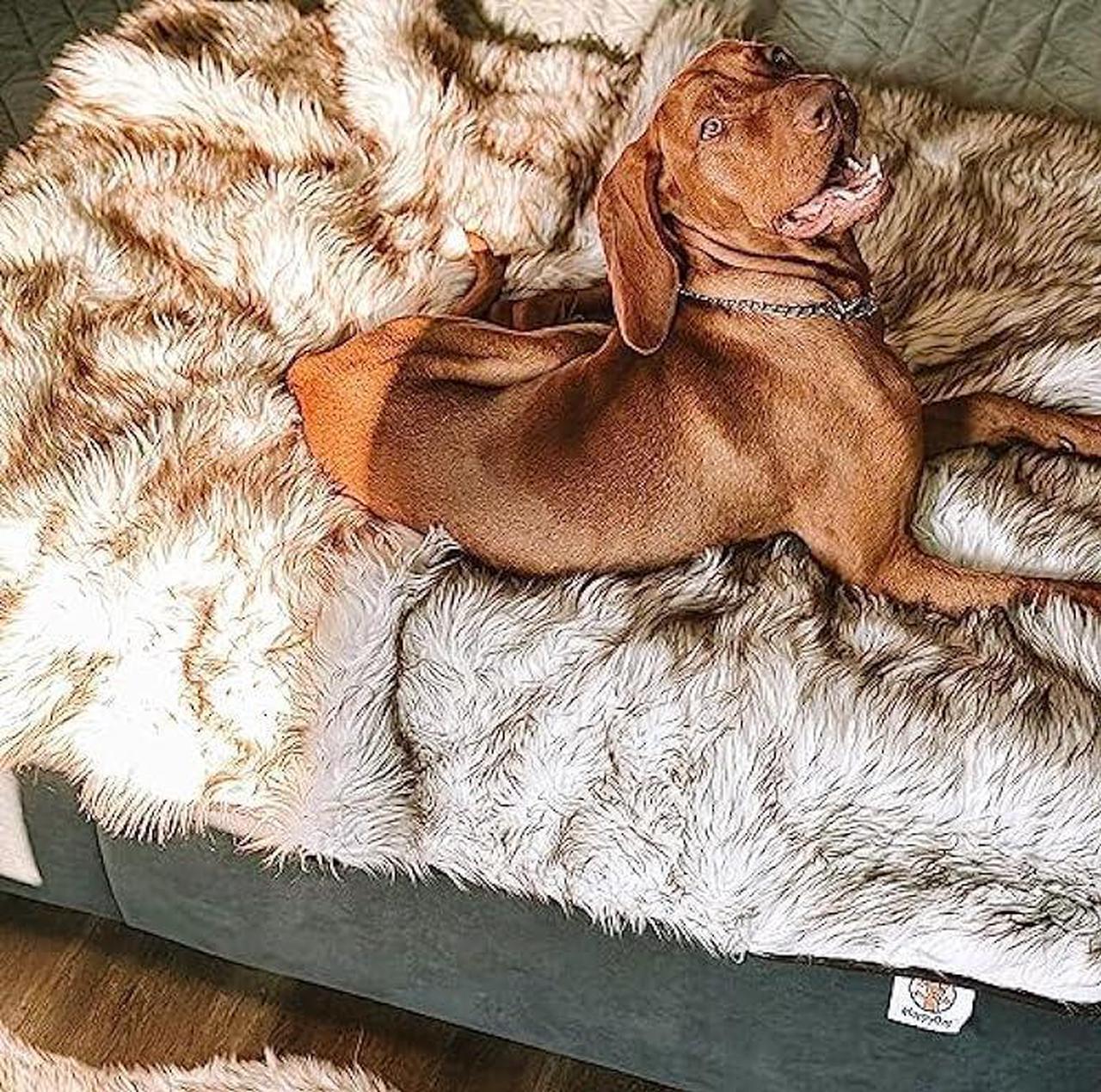 Alt view image 5 of 6 - Waterproof Dog Blanket, Plush Throw for Sleeping, Whelping, and Comfort, Pet Fur, Bed, Car, Couch, and Furniture Protection with Soft, Stain Resistant Surface, Machine Washable (60 x 50, White)