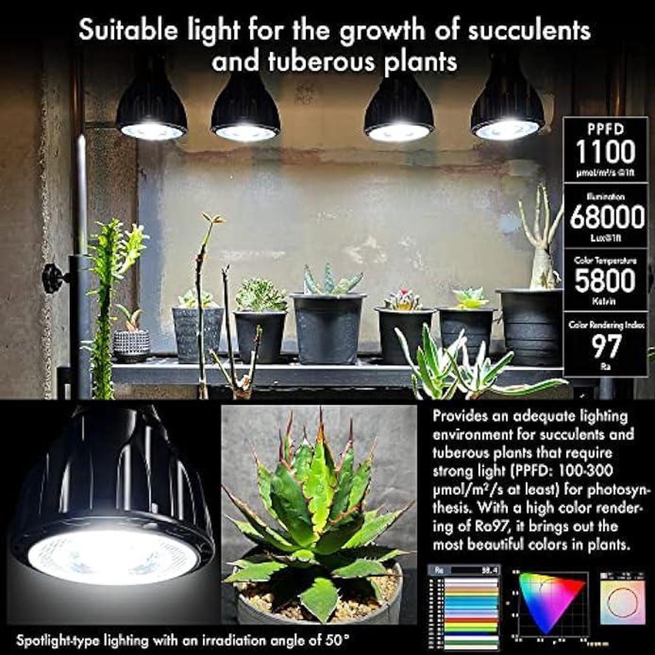 Alt view image 4 of 7 - BRIM Grow Light Bulb for Plants, High PPFD 1100mol/m²/s (1ft), Full Spectrum 24W (300W Equivalent) LED Grow Light Bulb, Grow Lights for Indoor Plants, E26 Grow Light Bulbs, 1-Pack (5800K, SOL 24W)