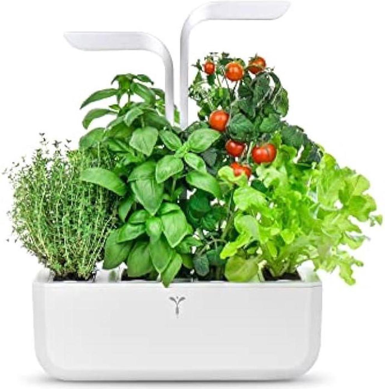Main image of Véritable® Classic (White) - Indoor Vegetable Garden Made in France - Smart Autonomous Garden Delivered with 4 Ingots®.