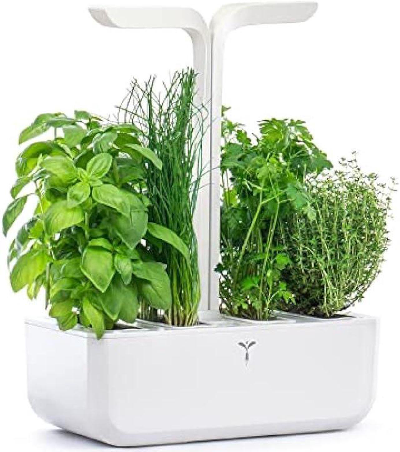 Alt view image 2 of 5 - Véritable® Classic (White) - Indoor Vegetable Garden Made in France - Smart Autonomous Garden Delivered with 4 Ingots®.