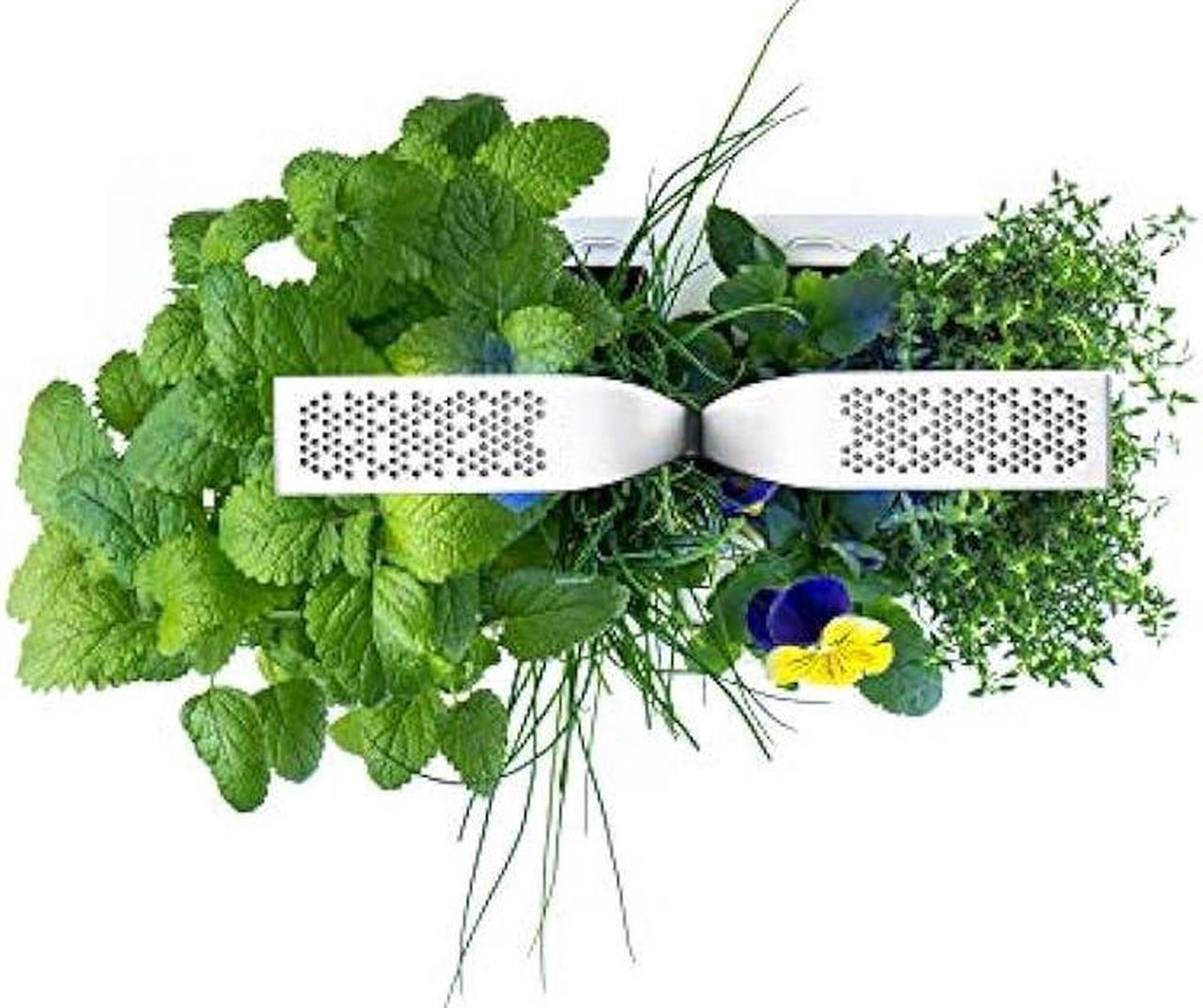 Alt view image 3 of 5 - Véritable® Classic (White) - Indoor Vegetable Garden Made in France - Smart Autonomous Garden Delivered with 4 Ingots®.