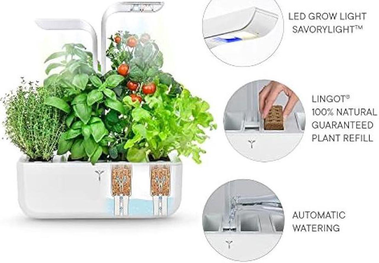 Alt view image 5 of 5 - Véritable® Classic (White) - Indoor Vegetable Garden Made in France - Smart Autonomous Garden Delivered with 4 Ingots®.