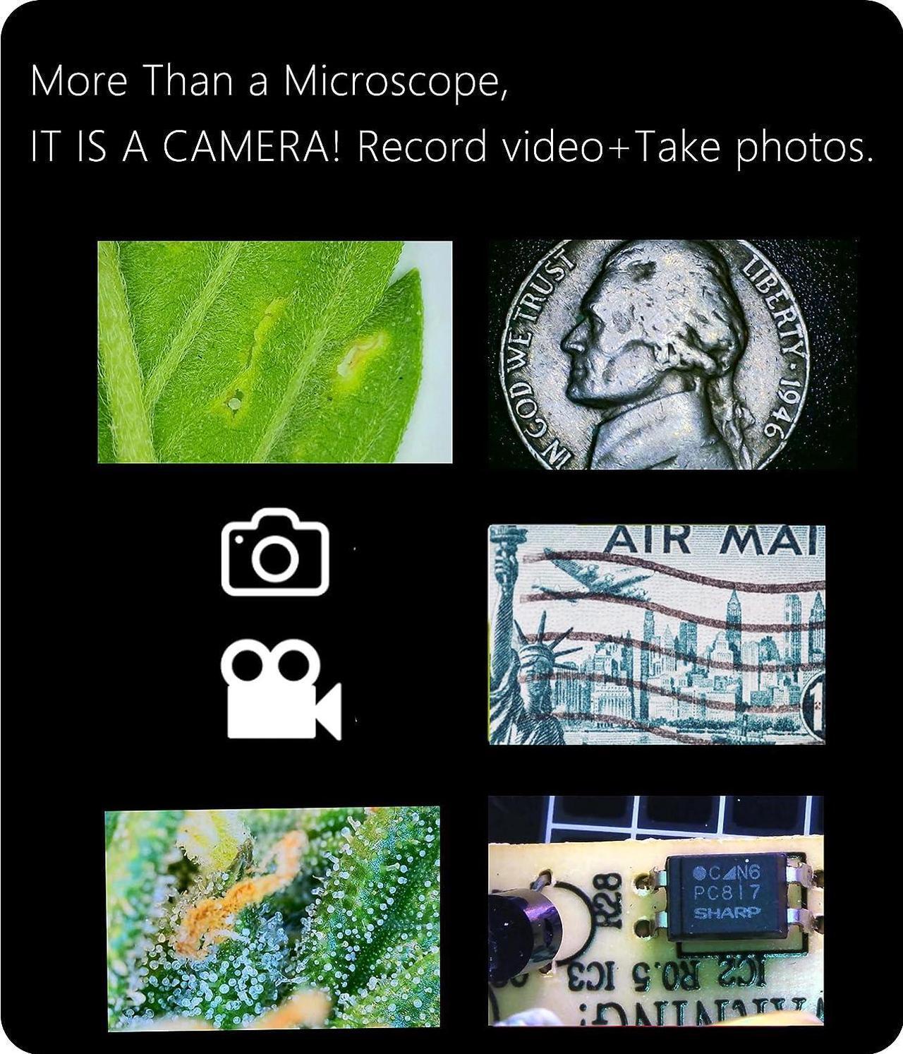 Alt view image 6 of 7 - Digital Microscope Wireless Pocket Handheld USB Microscopes, 50x-1000x Zoom Fixed Focus HD Magnifier with LEDs, Inspection Camera Compatible with iPhone, Android Phone, MacBook, Windows PC (Black)