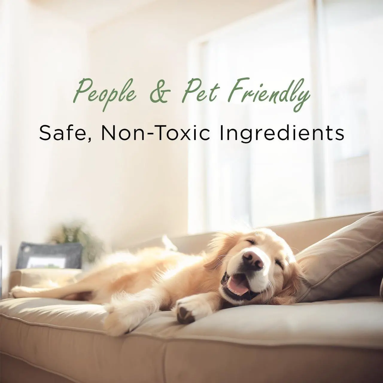 Alt view image 7 of 7 - Moso Natural Air Purifying Bag 600g (5 Pack). A Scent Free Odor Eliminator for Kitchens, Bedrooms, Living Rooms, Pet Areas. Premium Moso Bamboo Charcoal Odor Absorber. Freestanding Design.
