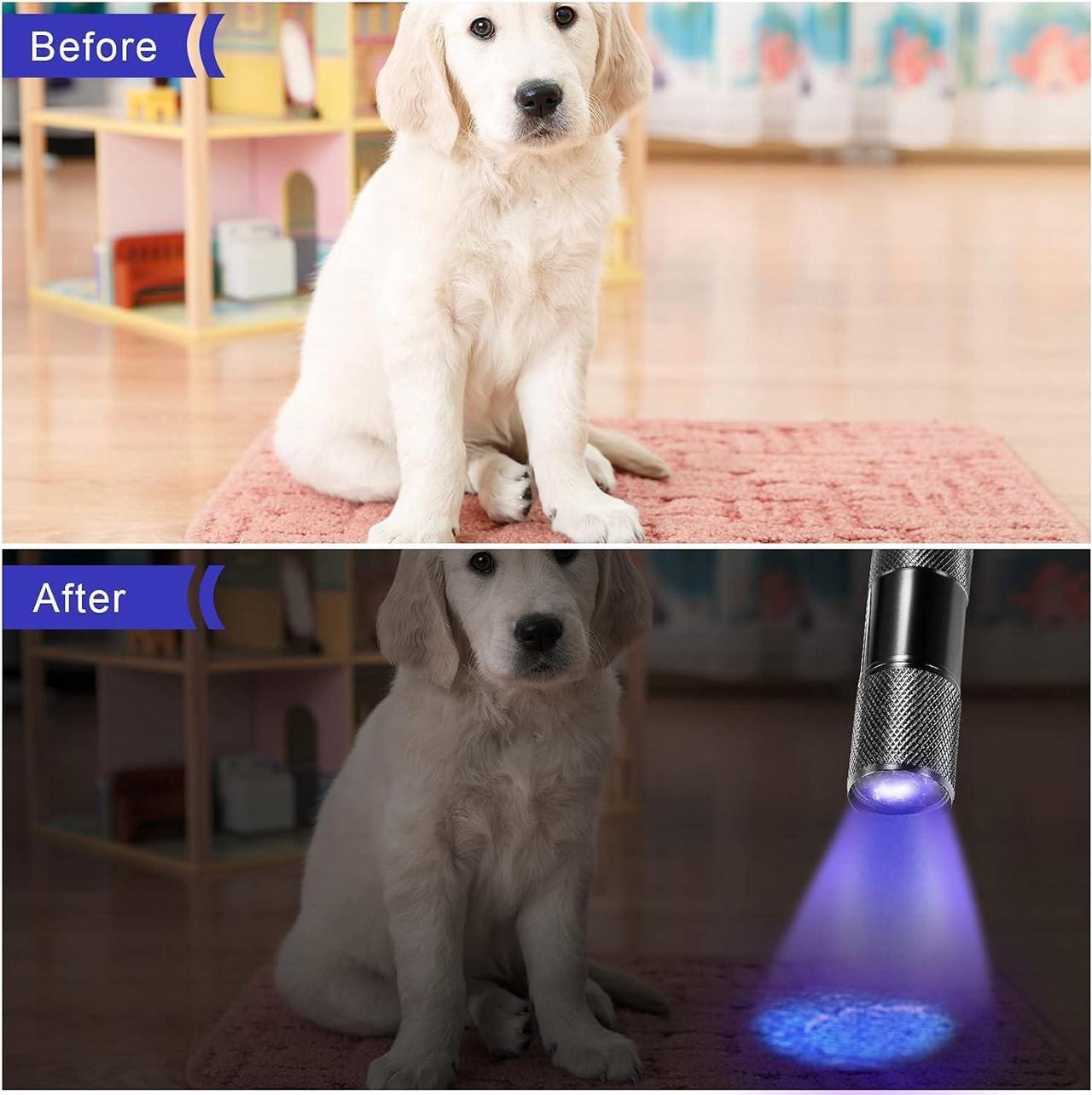 Alt view image 6 of 7 - 10 Pieces UV Blacklight Flashlights, LED Light, Handheld, Mini Light Torch Detector, Portable UV Flashlight Torch for Pets Stains Urine (Purple Light)