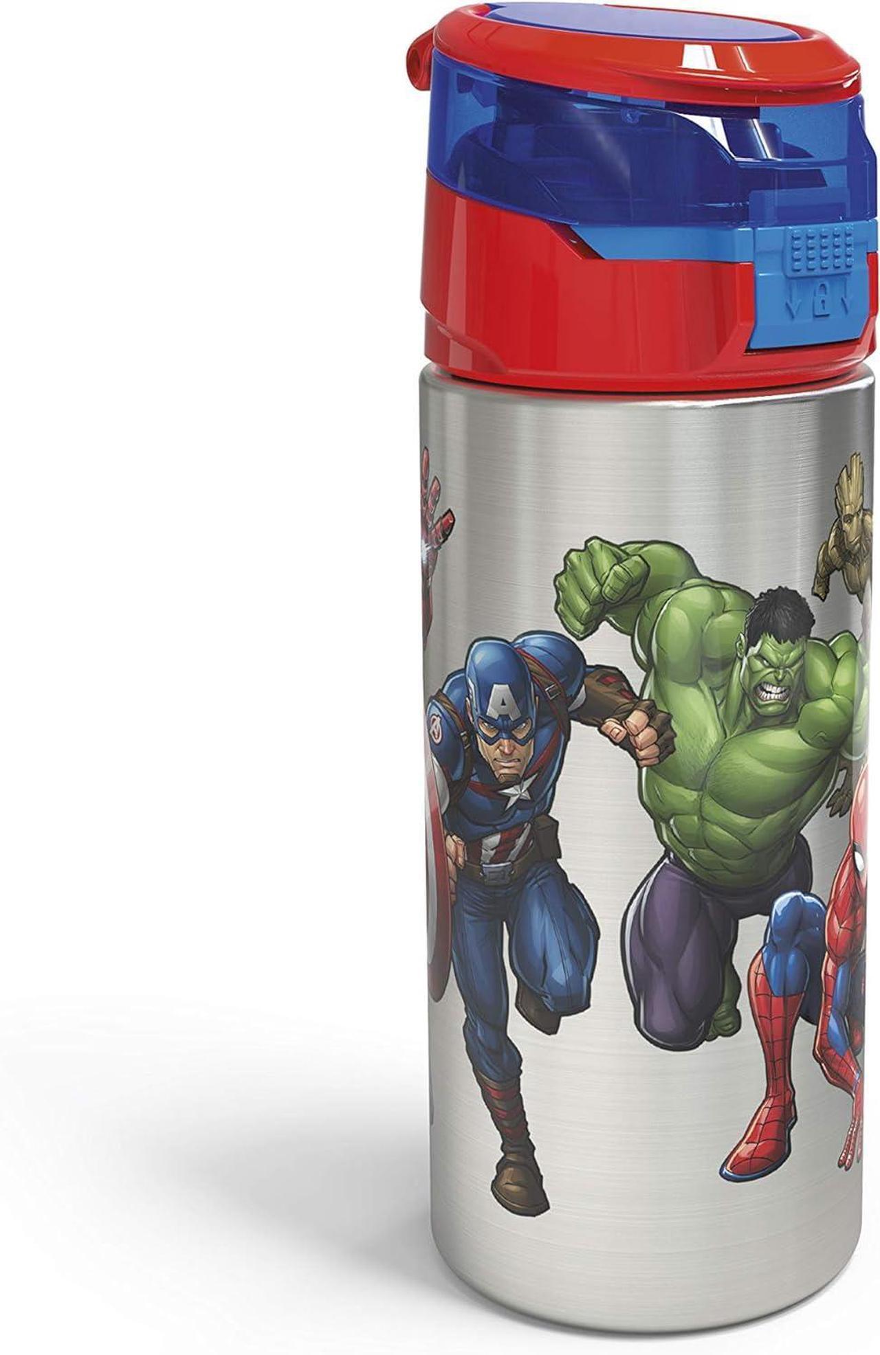 Main image of Zak Designs Marvel Comics Durable Single Wall Stainless Steel Water Bottle with Push-Button Flip Lid Leak-Proof Design is Perfect for Outdoor Sports (19.5oz, BPA Free), 19.5 oz, Avengers