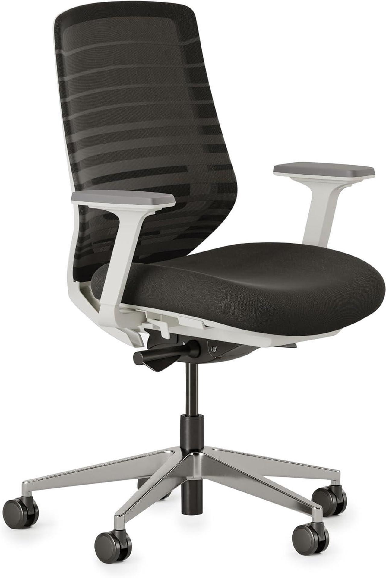 Main image of Branch Ergonomic Chair - A Versatile Desk Chair with Adjustable Lumbar Support, Breathable Mesh Backrest, and Smooth Wheels - Experience Optimal Comfort and Support - Black