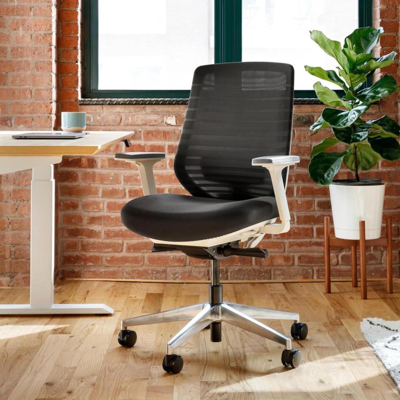 Alt view image 2 of 7 - Branch Ergonomic Chair - A Versatile Desk Chair with Adjustable Lumbar Support, Breathable Mesh Backrest, and Smooth Wheels - Experience Optimal Comfort and Support - Black