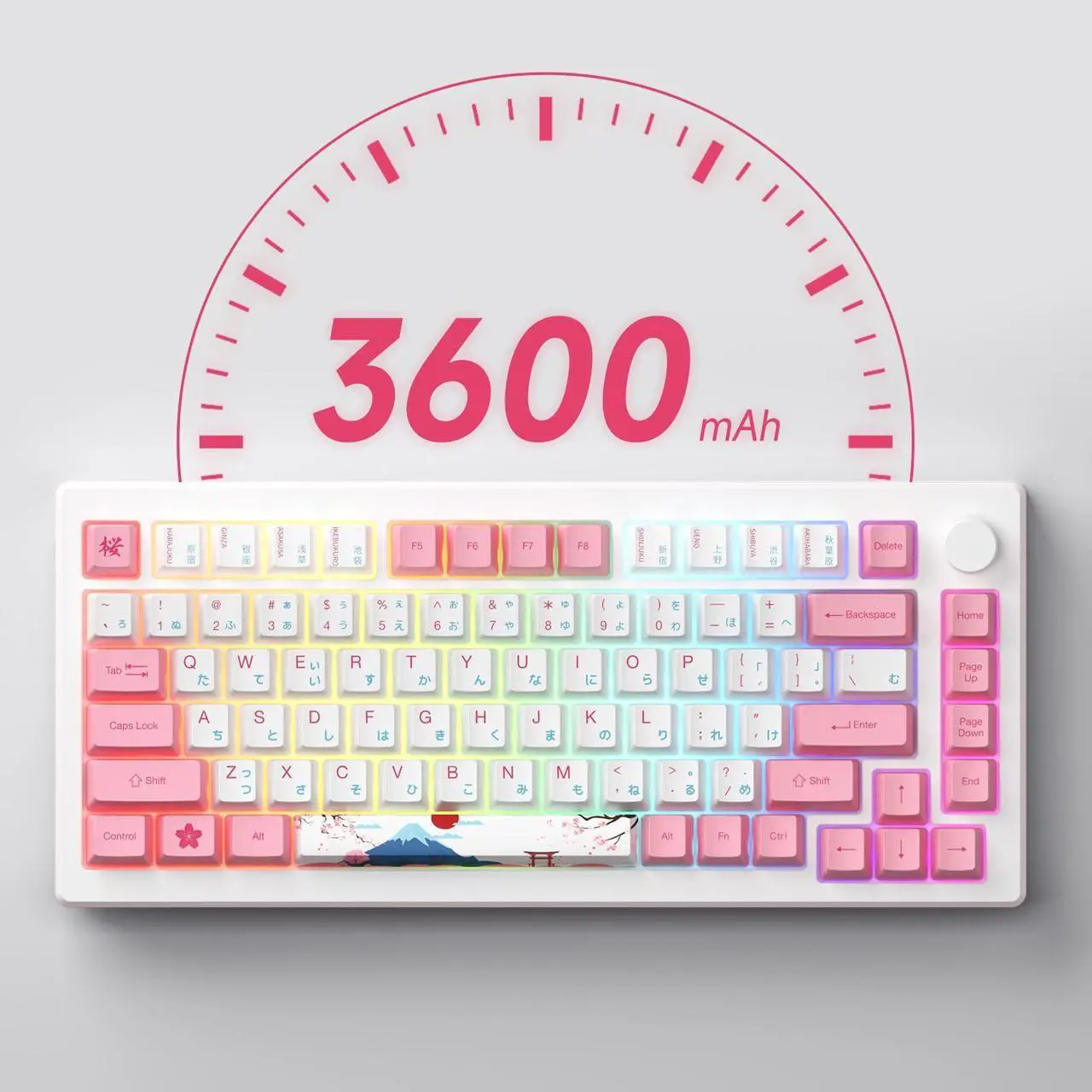 Alt view image 4 of 7 - Akko Magnetic Switches Rapid Trigger Gaming Keyboard, MOD007B HE PC World Tour Tokyo Wired/Wireless 75% 8k Polling Rate Mechanical Keyboard with Knob, RGB Backlit (Akko Creamy Yellow Magnetic Switch)
