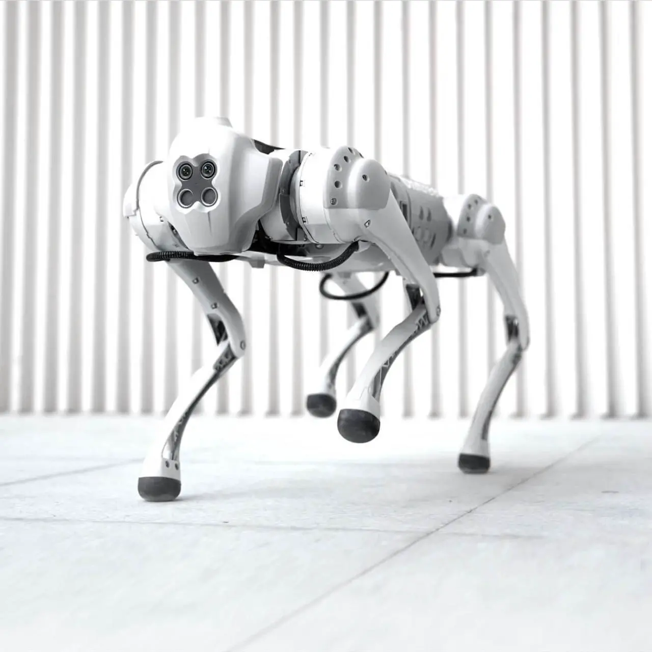 Alt view image 7 of 7 - UNITREE GO1 Robot Dog Toy Quadruped Robot for Adults(Go1 Pro)