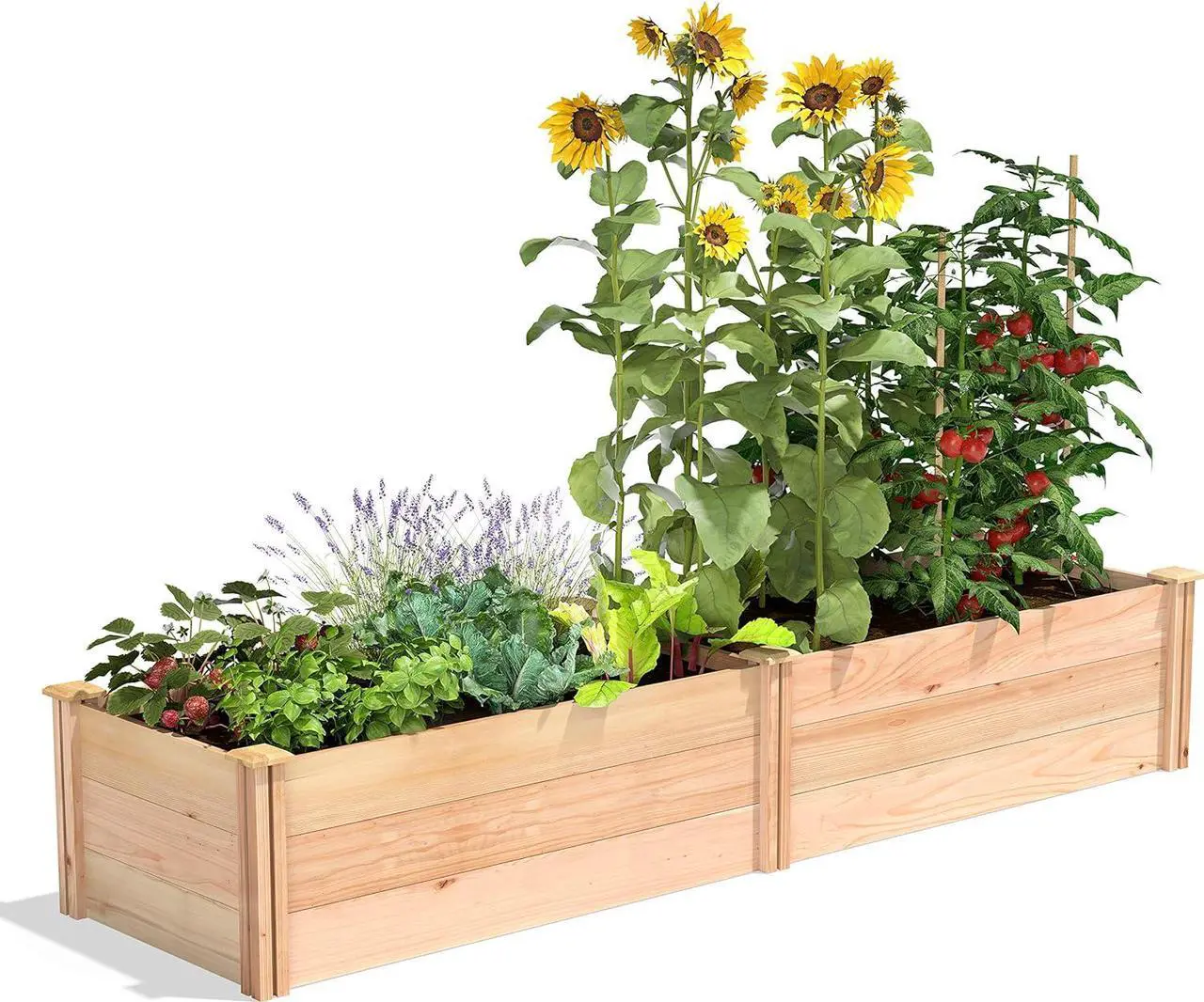 Main image of Greenes Fence Premium Cedar Raised Garden Bed, 2' x 8' x 16.5" - Made in USA with North American Cedar