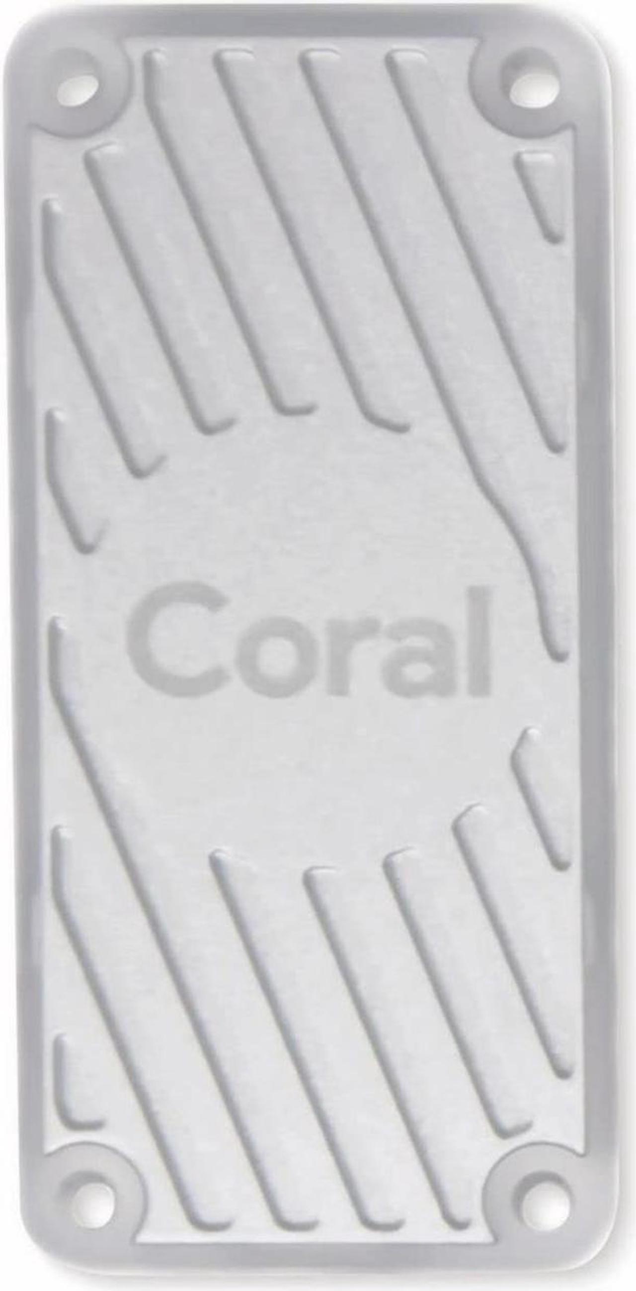 Main image of Coral USB Accelerator