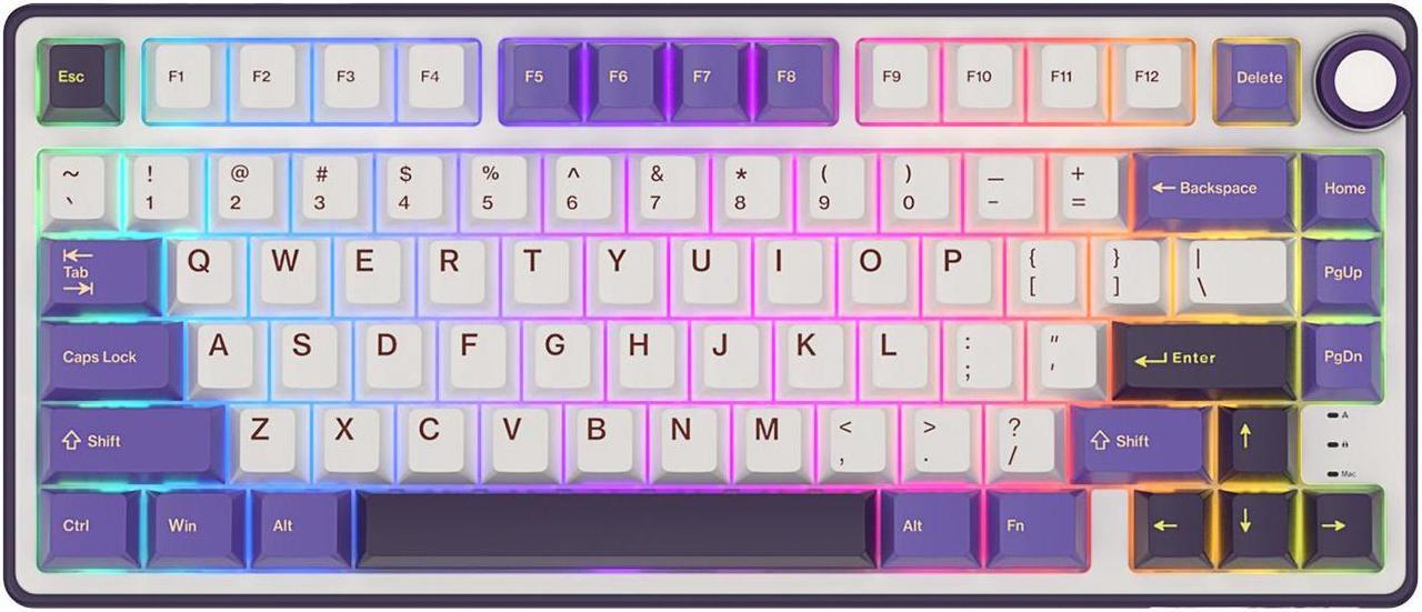 RK ROYAL KLUDGE R75 Mechanical Keyboard Wired with Volumn Knob 75% TKL Custom Gaming Keyboard Gasket Mount RGB Backlit with Software MDA Profile Hot Swappable PBT Keycaps Keyboard Purple