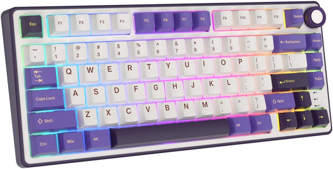 RK ROYAL KLUDGE R75 Mechanical Keyboard RGB Backlit with Software Wired Volumn Knob 75% TKL Custom Gaming Keyboard Gasket Mount  Hot Swappable Silver Switch PBT Keycaps Keyboard