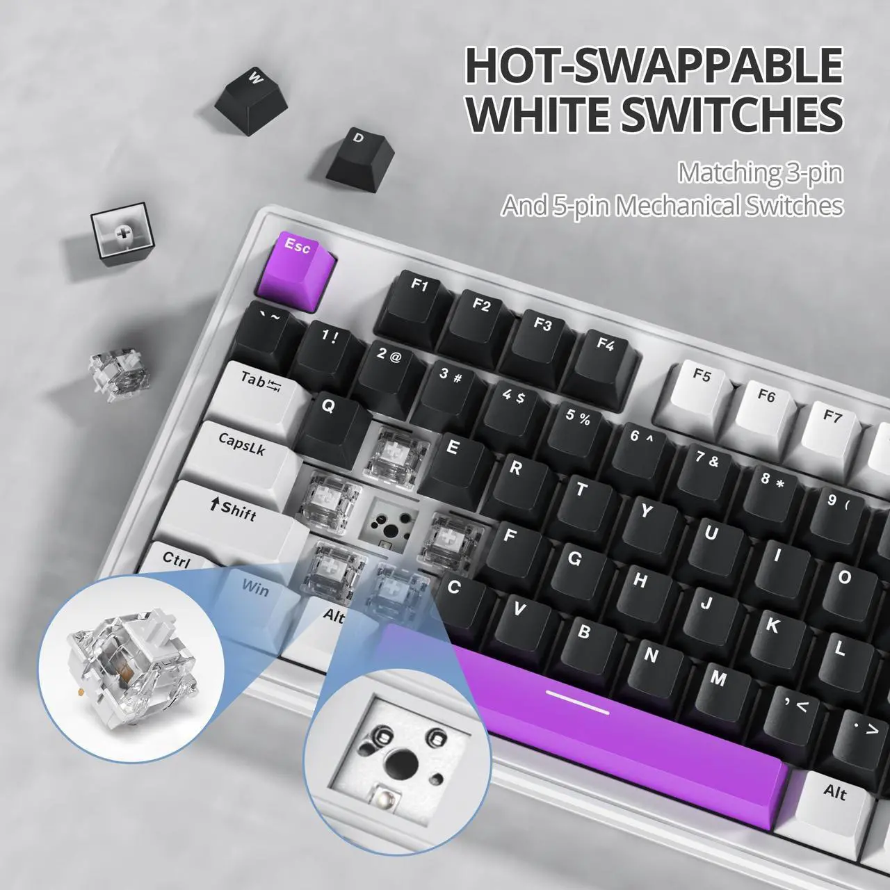 Alt view image 2 of 5 - Mosptnspg 80% TKL Wired Mechanical Keyboard,RGB Backlit Gasket Mount 87 Key Hot Swappable Custom Linear Switch Gaming Keyboard with PBT Keycaps (black purple)