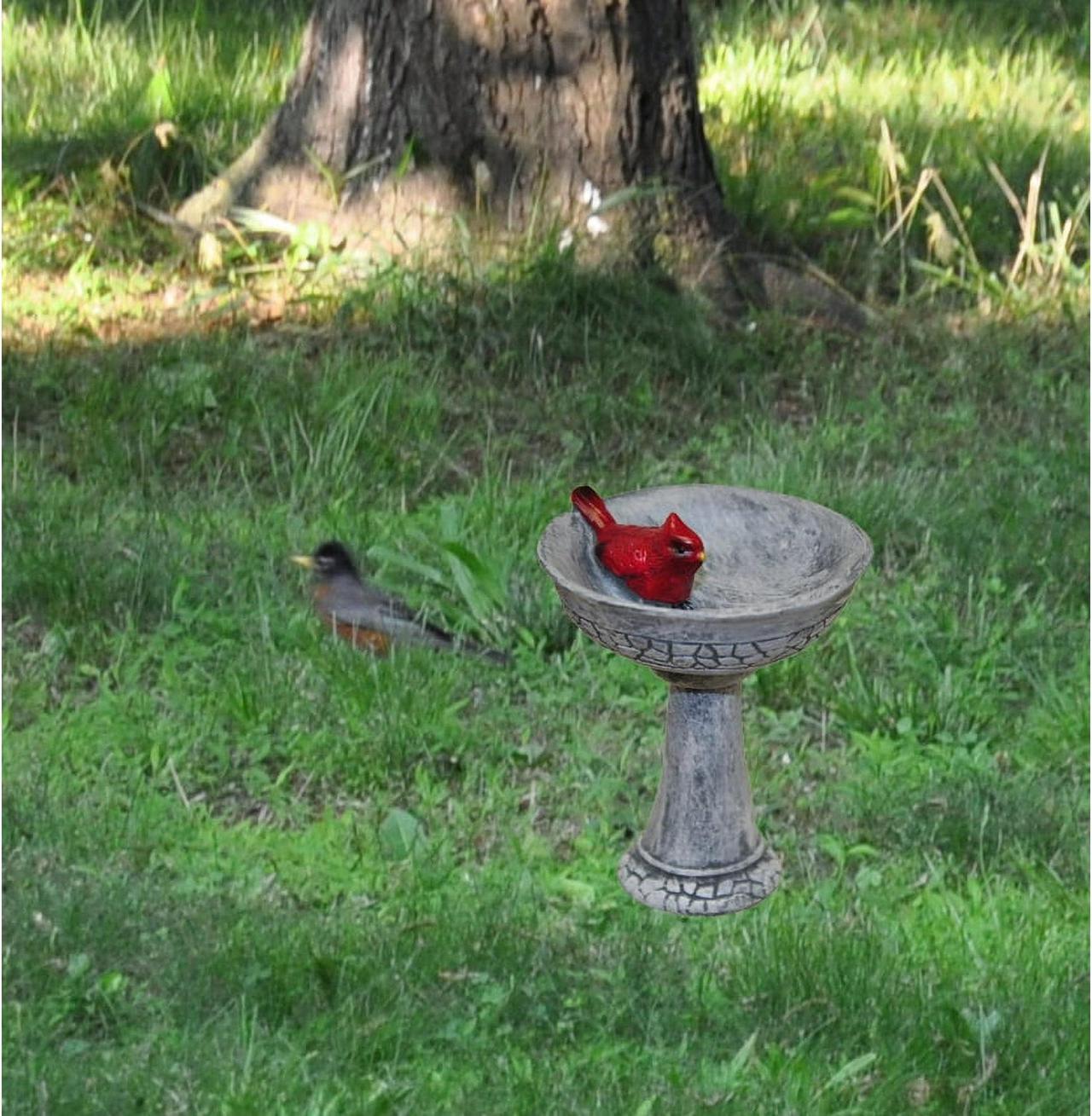 Main image of G & F Products MiniGardenn 10027 Fairy Garden Polyresin Miniature, Cardinal Birdbath Pick