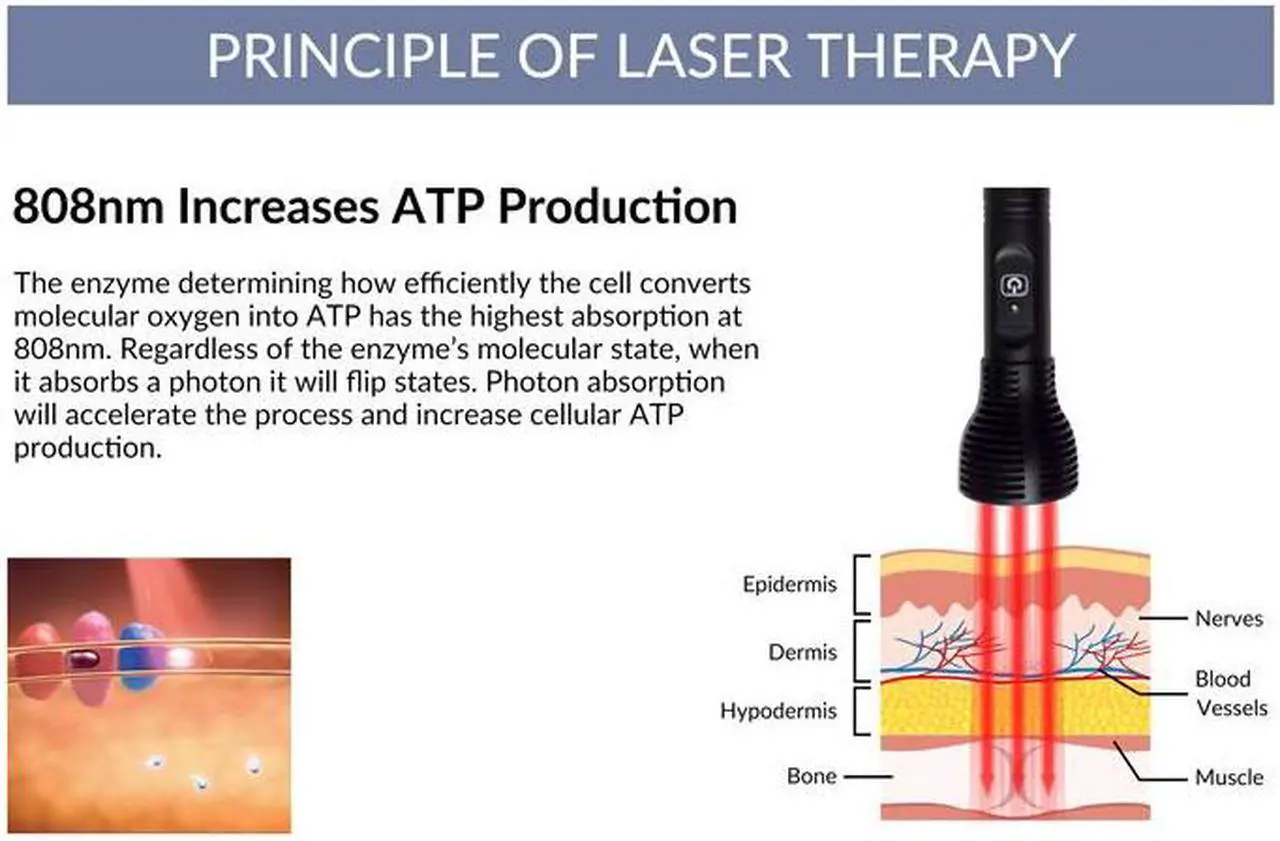 Alt view image 4 of 7 - ZJZK Rechargeable 600mW 808nm Low Level Cold Laser Acupuncture Pen Therapy for Pain