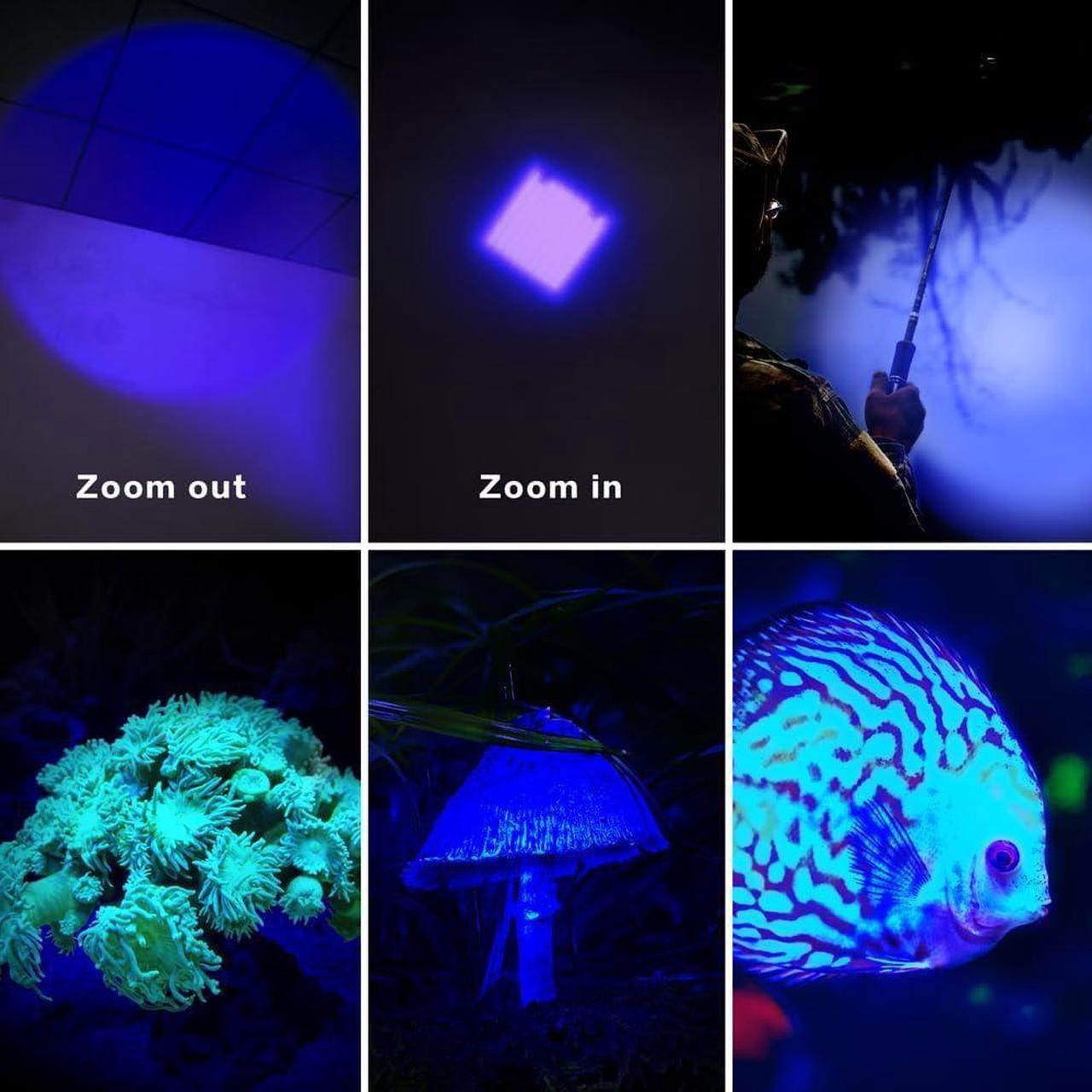 Alt view image 6 of 6 - (Pack of 4) 4 Color Light Single Mode Flashlight: Red Light Flashlight, Green Light Flashlight, Blue Light Flashlight, Cool White Light Flashlight for Night Observation