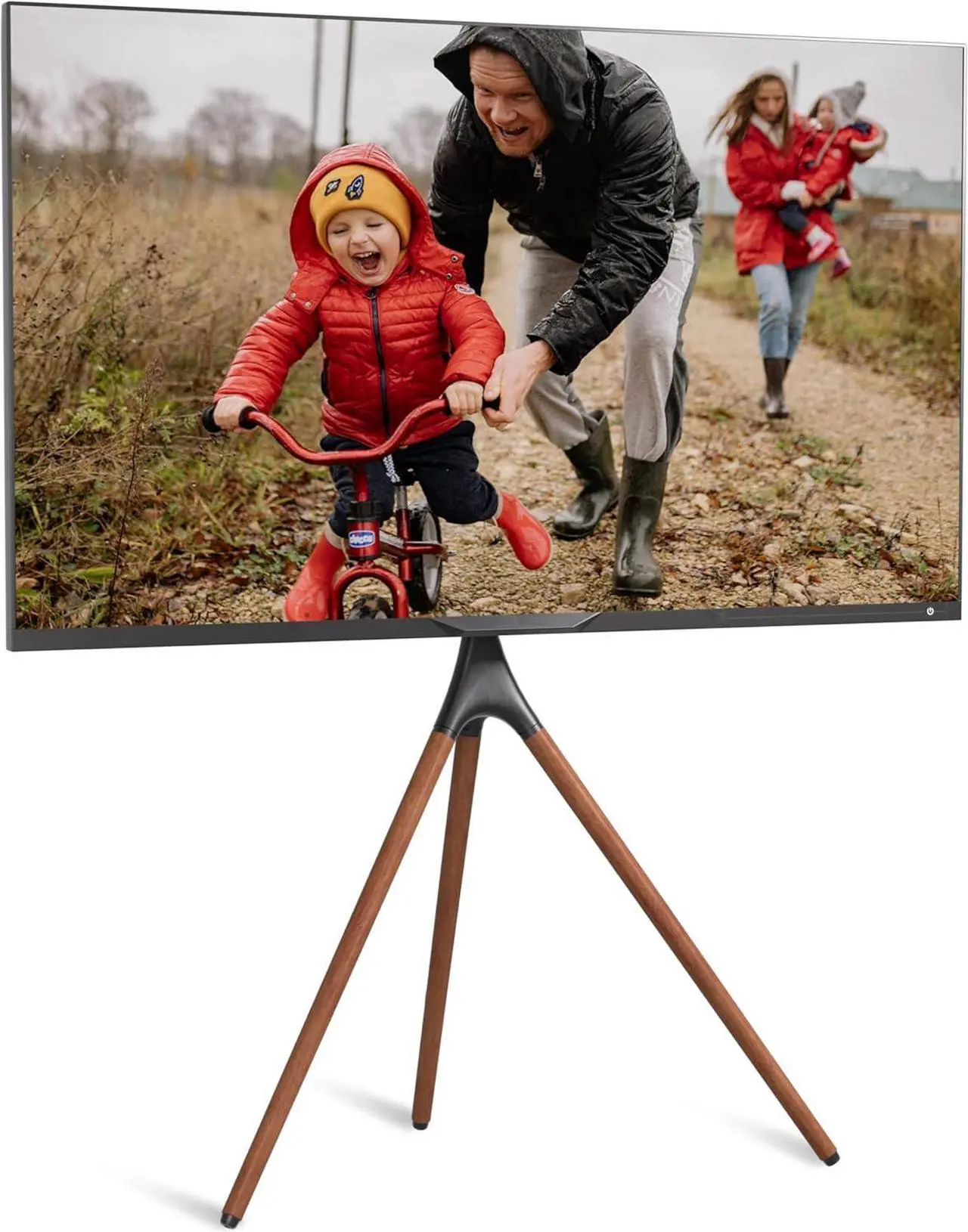 Main image of ProMounts Easel Floor TV Stand with Tripod Base for 47-72 inch LED LCD OLED Flat and Curved Screens, Portable Height Adjustable TV Stand Mount for Bedroom, Living Room, Studio