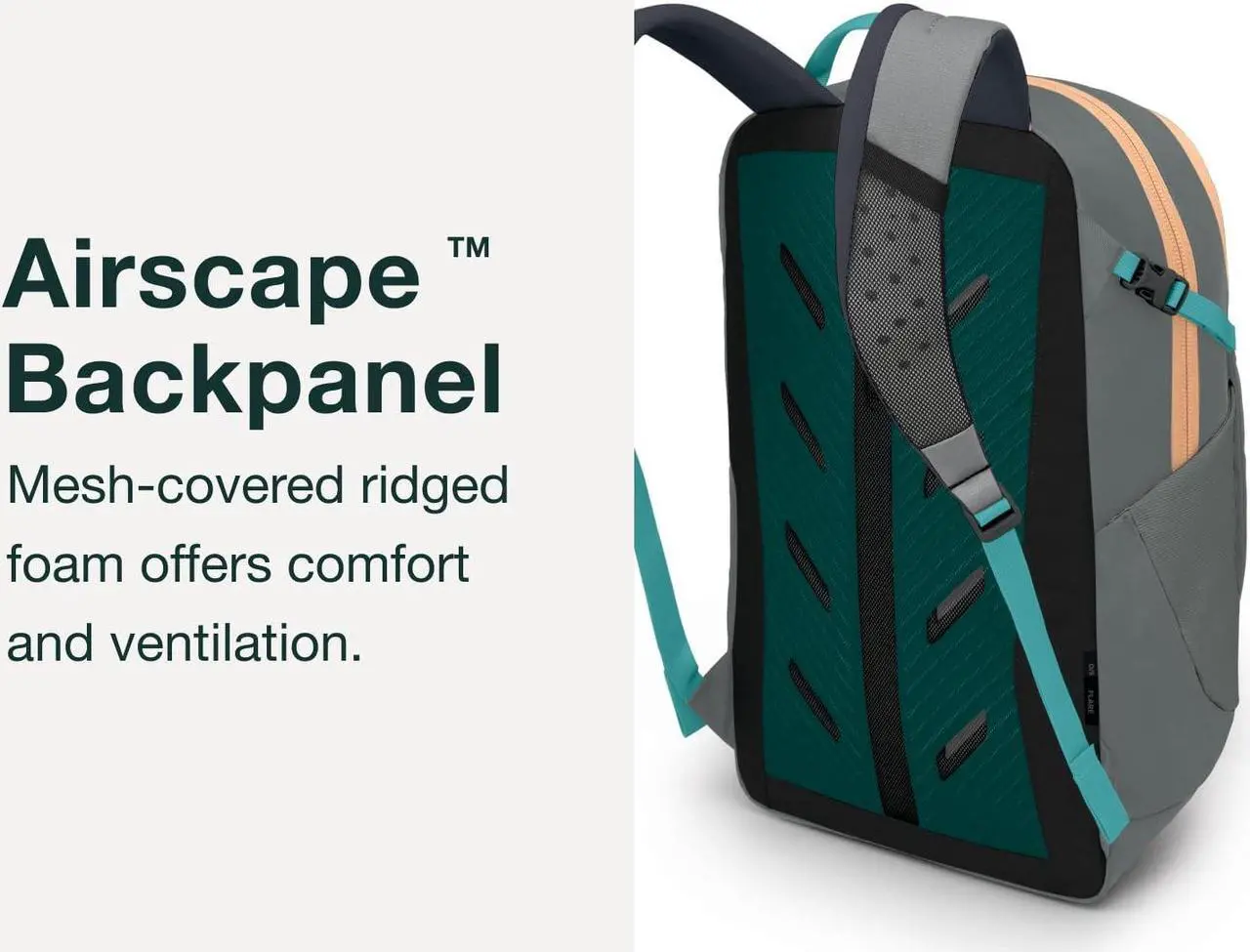 Alt view image 4 of 5 - Osprey Flare Everyday Laptop Backpack, Black