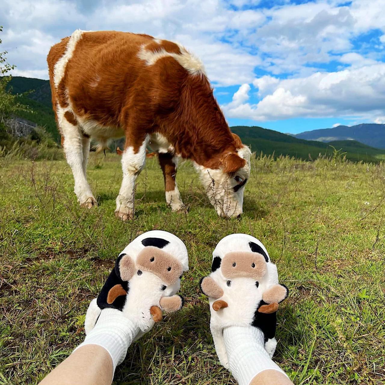 Alt view image 6 of 6 - Wsedper Cute Soft Cow Slippers for Women, Cartoon Cow Print Slippers, Fluffy Cotton Animal Slippers for Indoor Outdoor Winter (Full Heel,Women 6.5-7.5/Men 5.5-6.5)