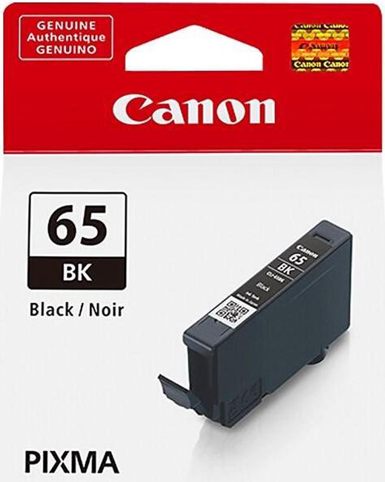 Canon 65 BK Black Standard Yield Ink Cartridge (4215C002)