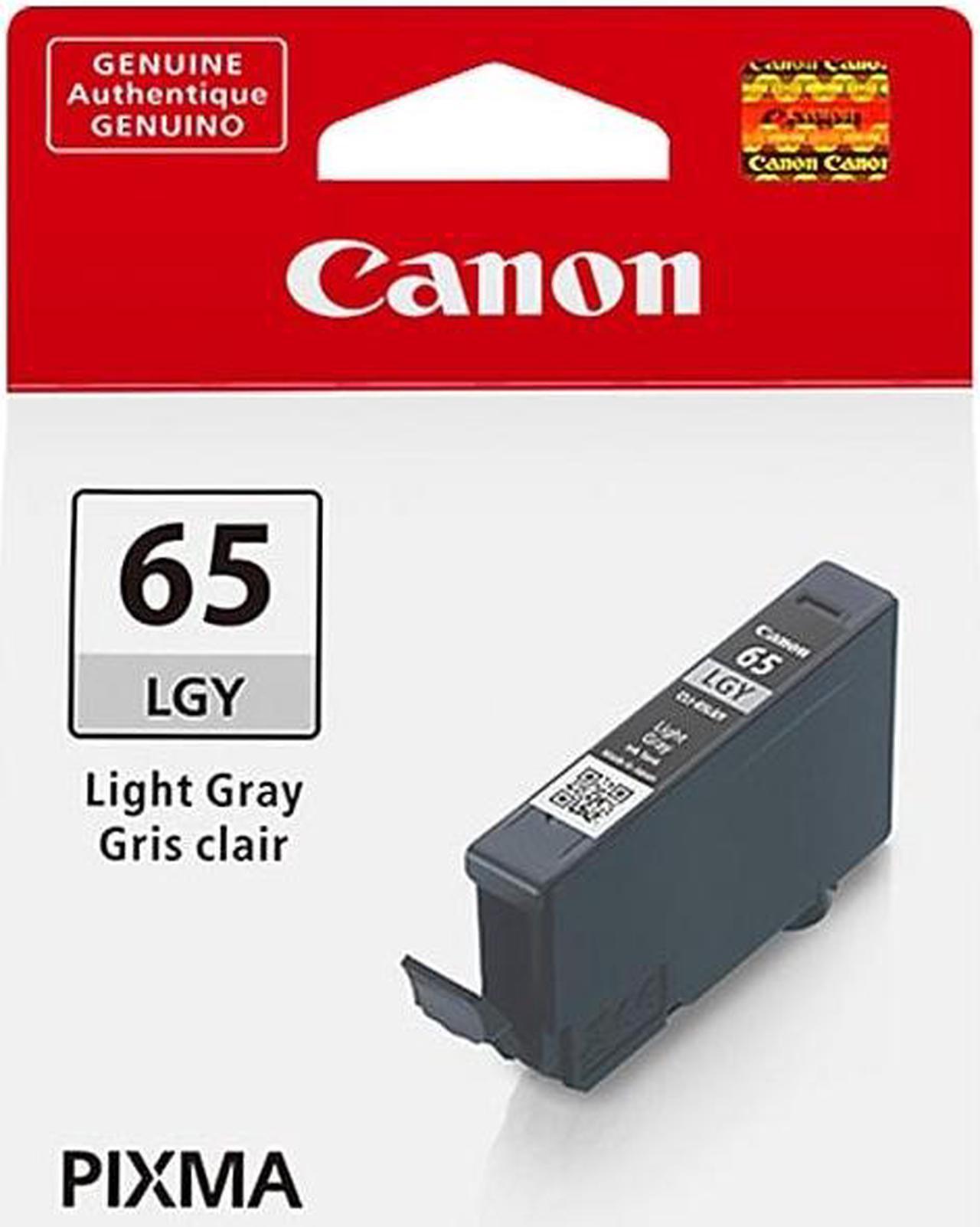 Canon 65 LGY Light Gray Standard Yield Ink Cartridge (4222C002)