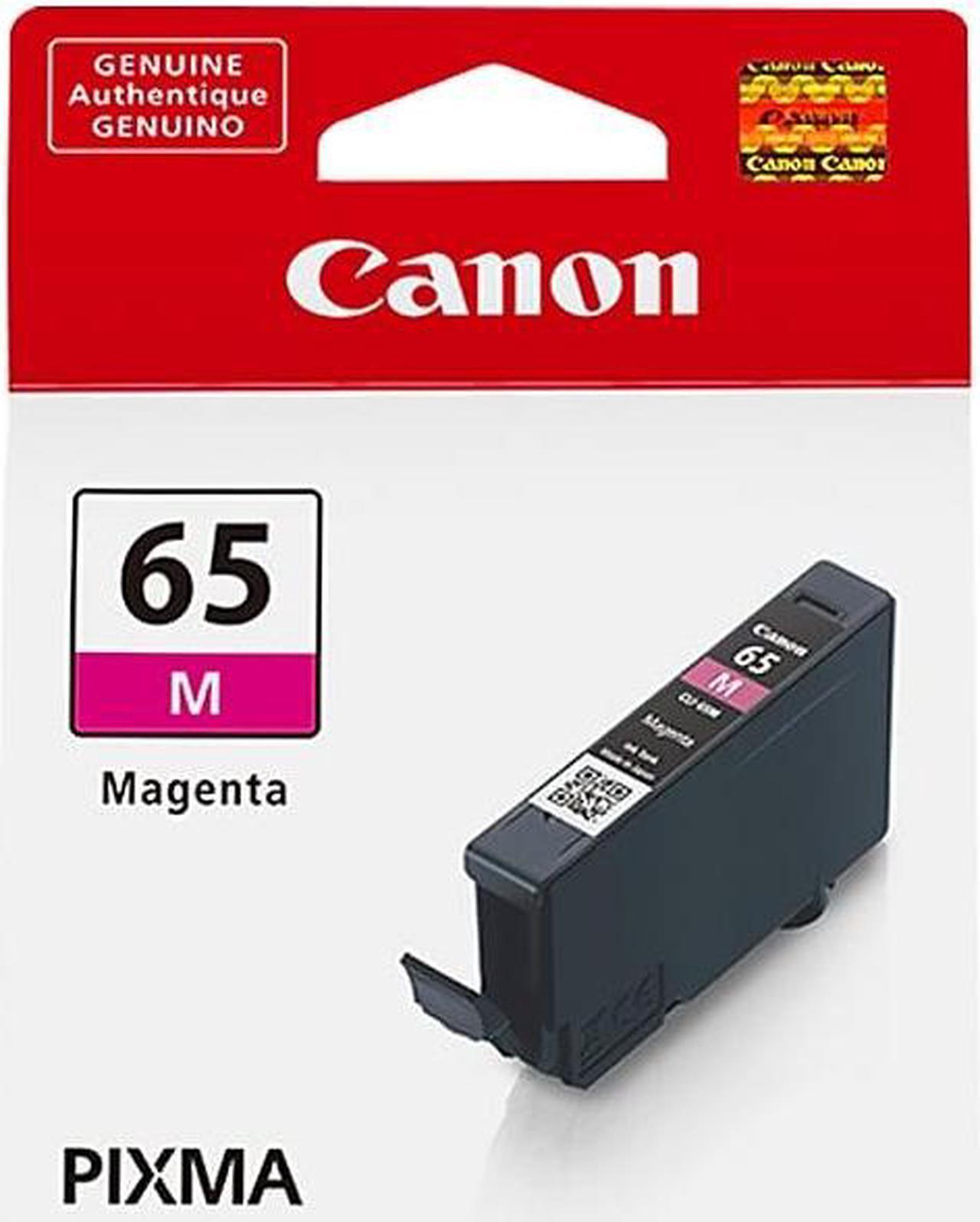 Canon 65 M Magenta Standard Yield Ink Cartridge (4217C002)